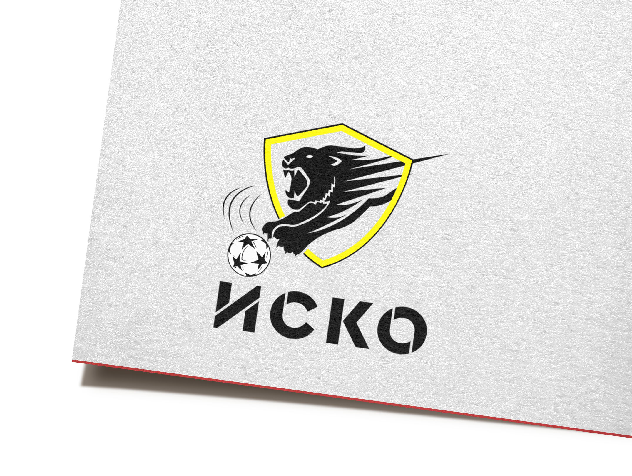 logo mockup1.jpg