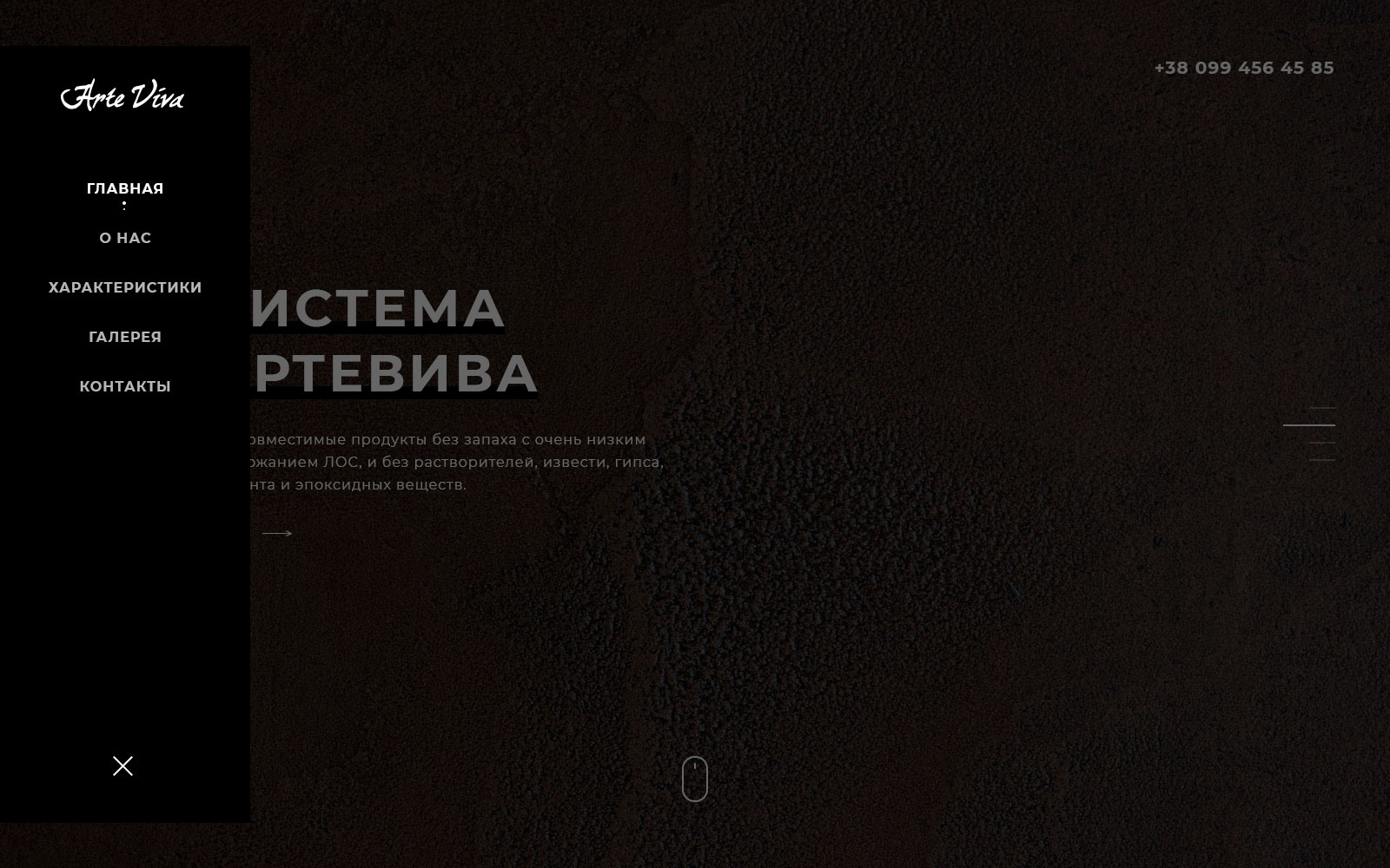 arteviva-2.jpg