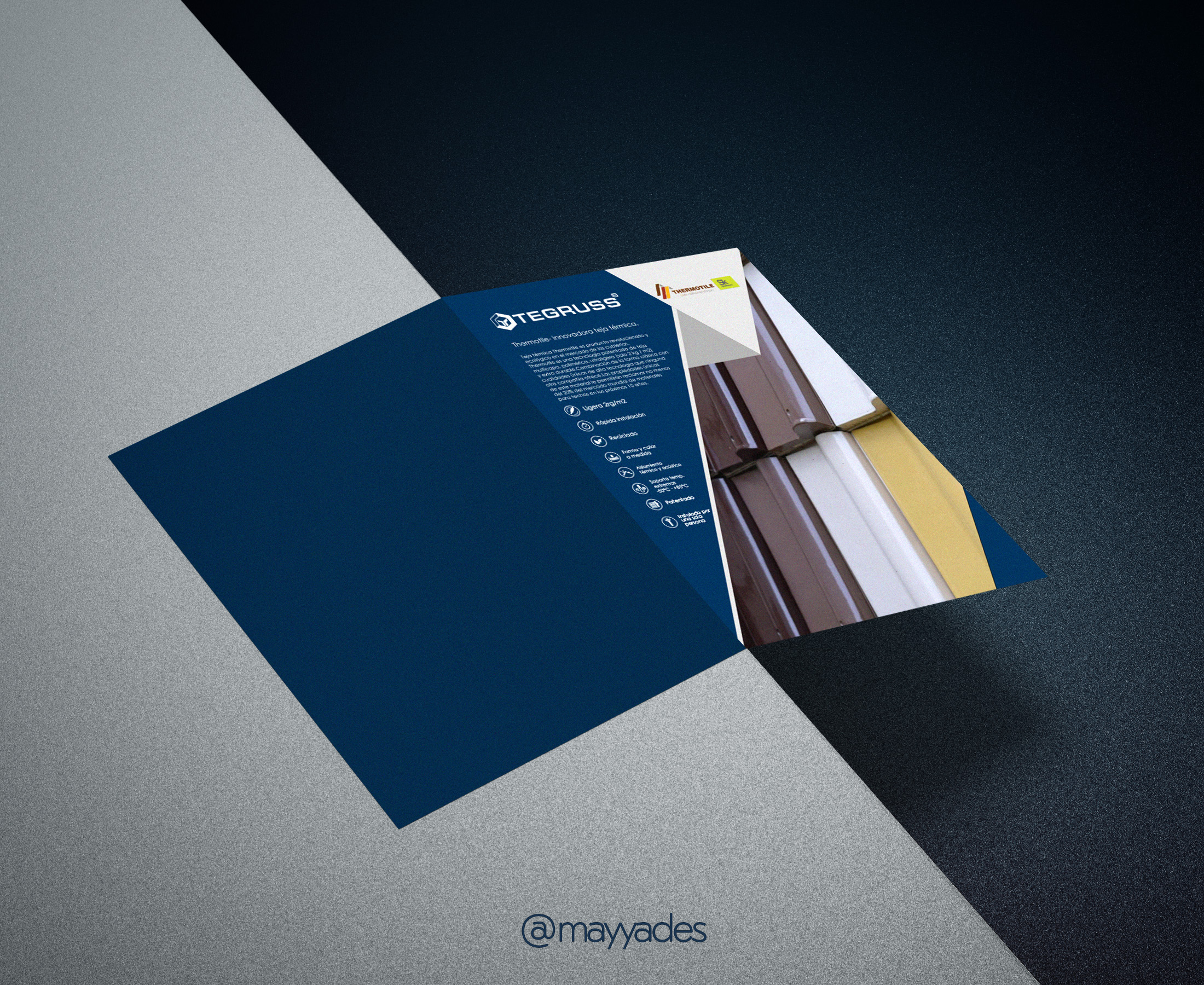 DE_BiFold_Cover_Mockup.jpg
