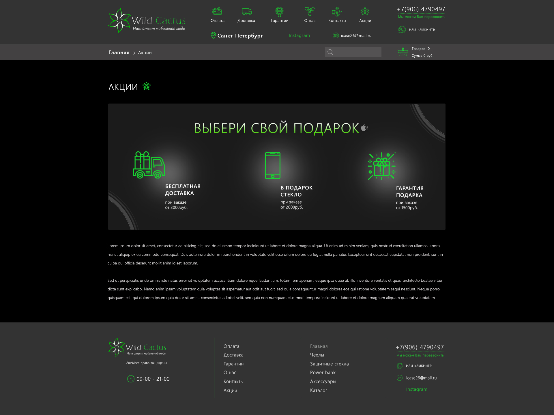 Инет-магазин_Wild Cactus_ 27.03.19 _страница АКЦИИ.jpg