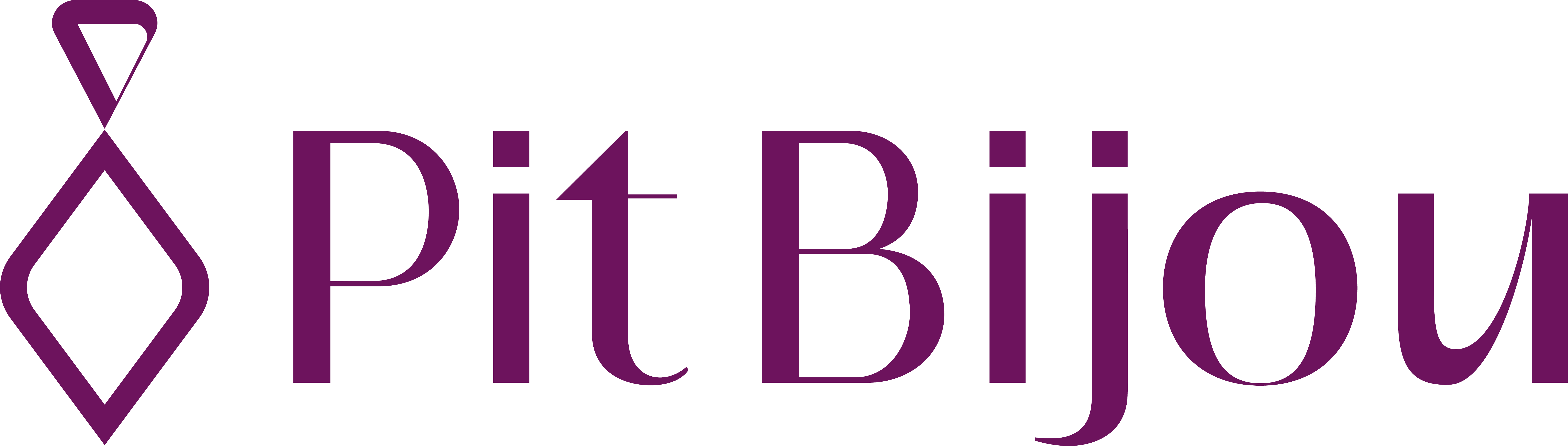 лого PitпBijou.jpg