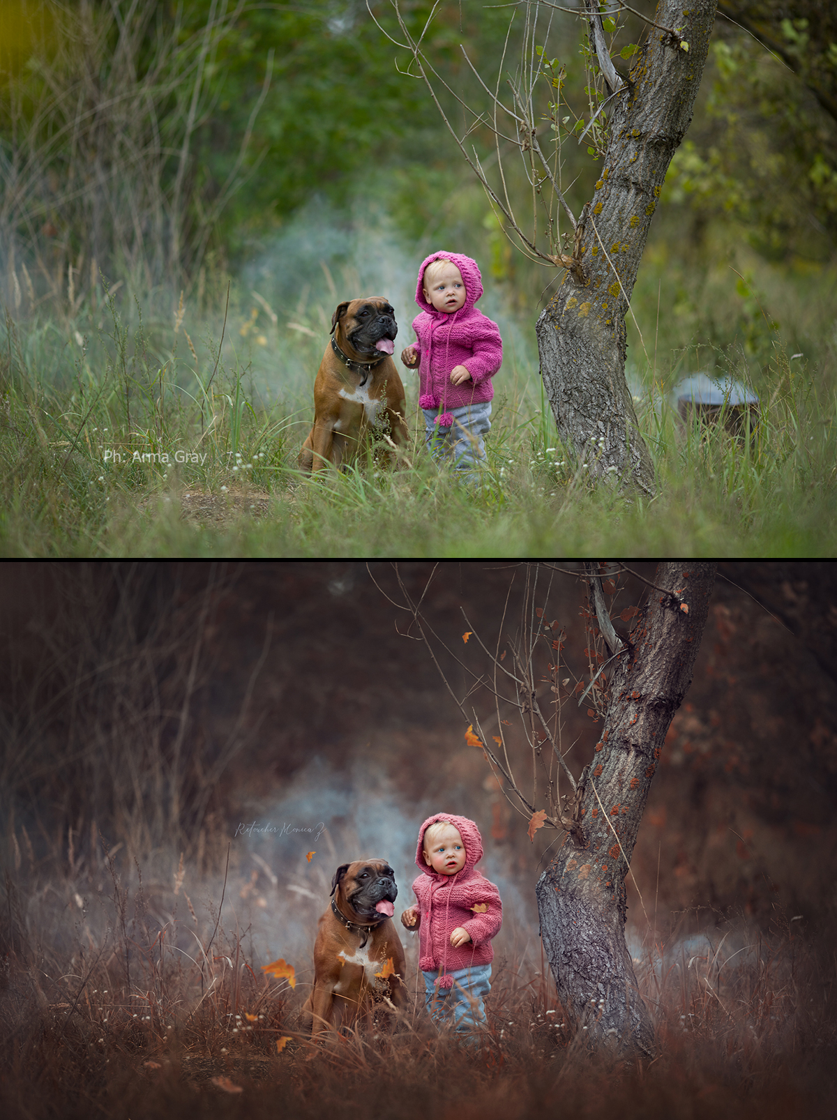 Осень потерянной нежности (худ обработка) до и после.jpg