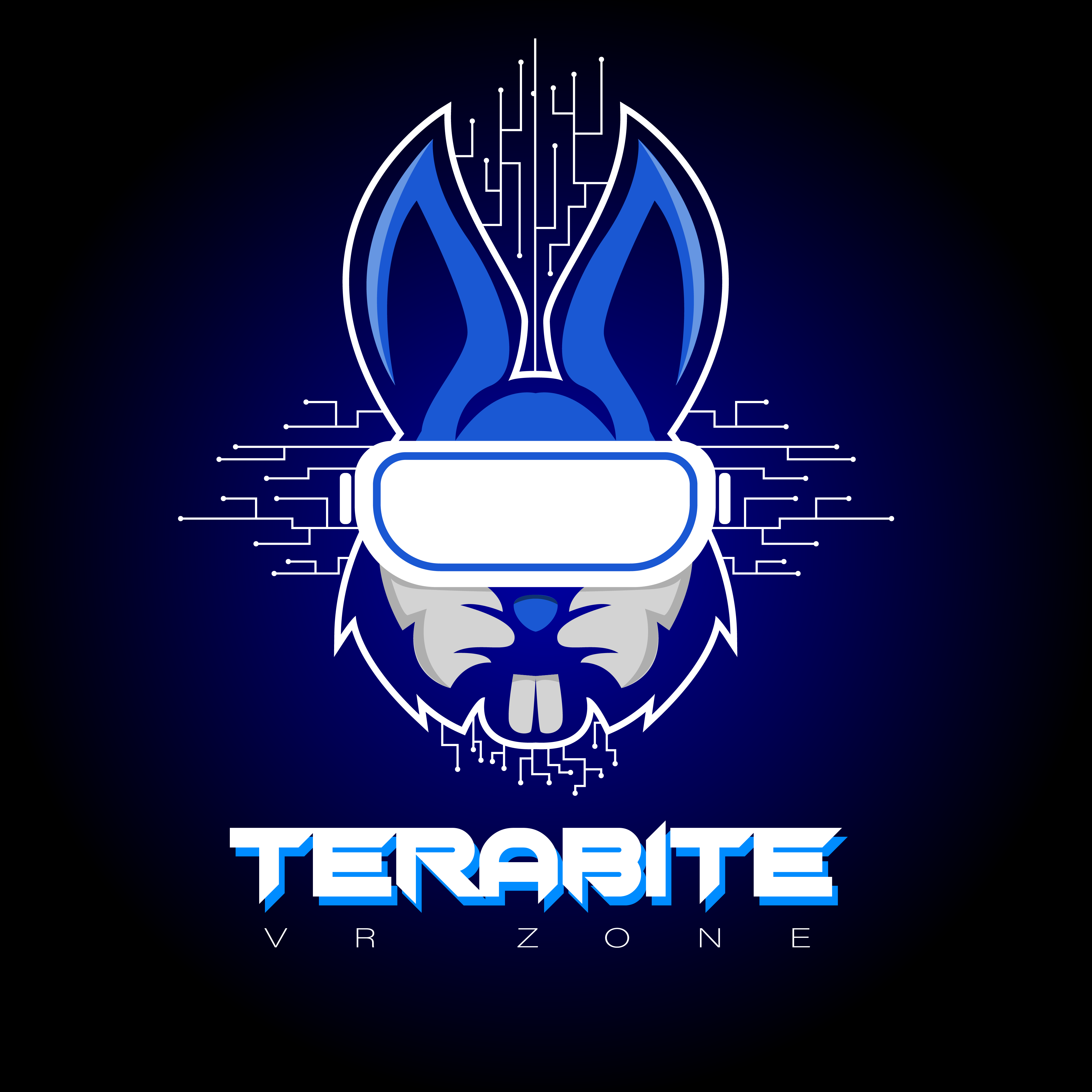 Безымянный-2_Монтажная область 1.png