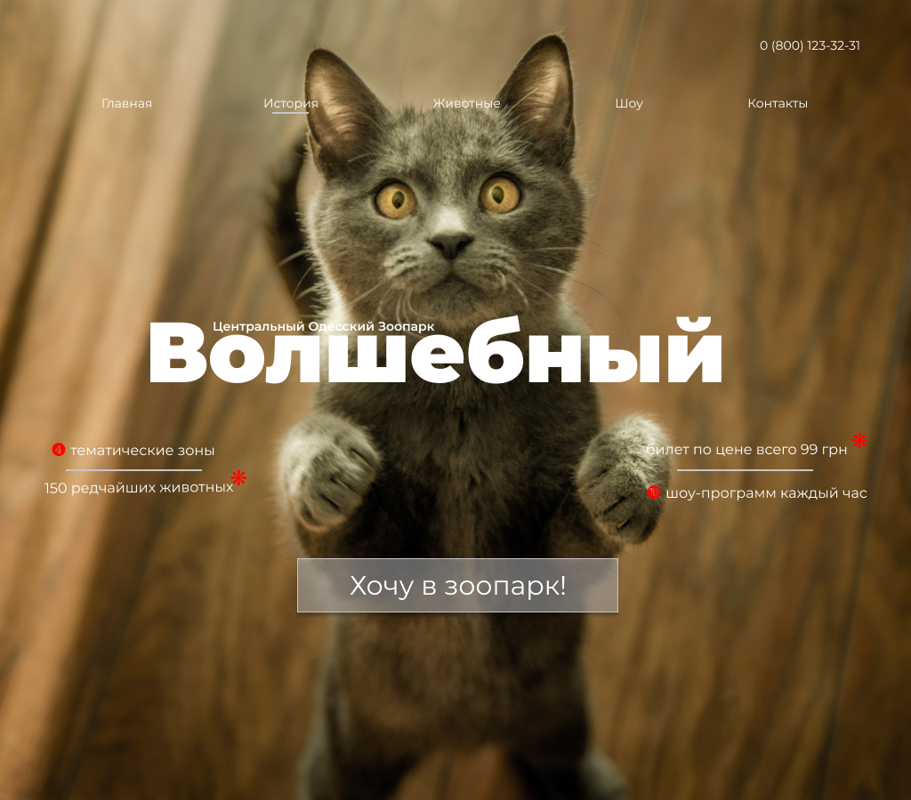 зоопарк.png