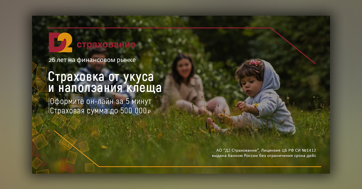D2 Страхование.jpg