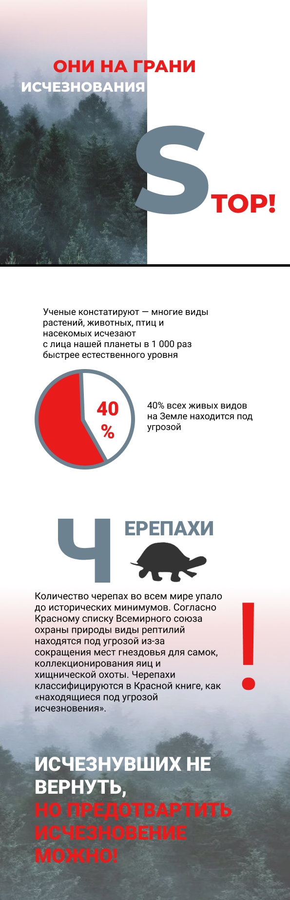 A4 - 2 (1).jpg