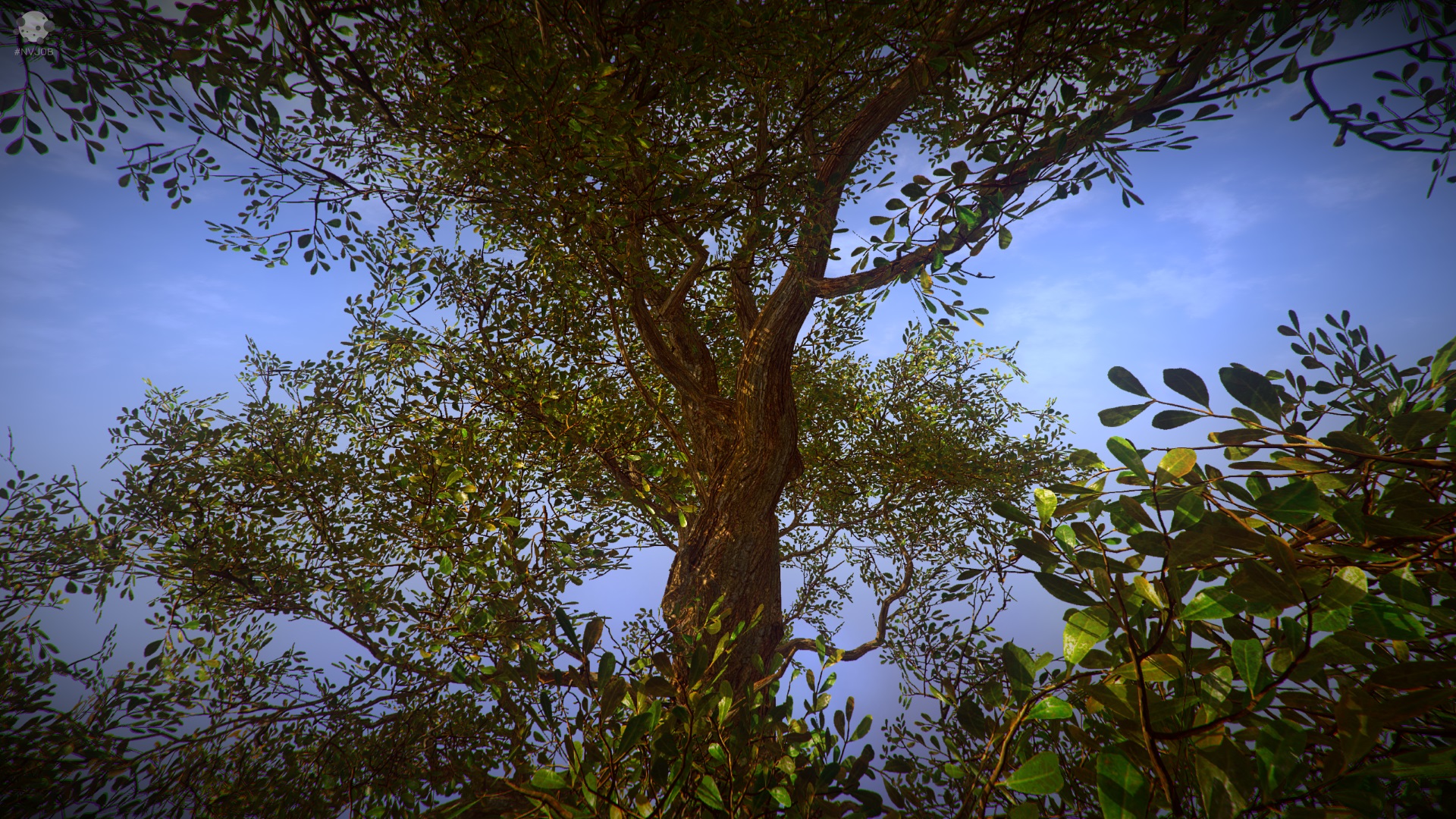 #NVJOB STC8 Pro (17).jpg