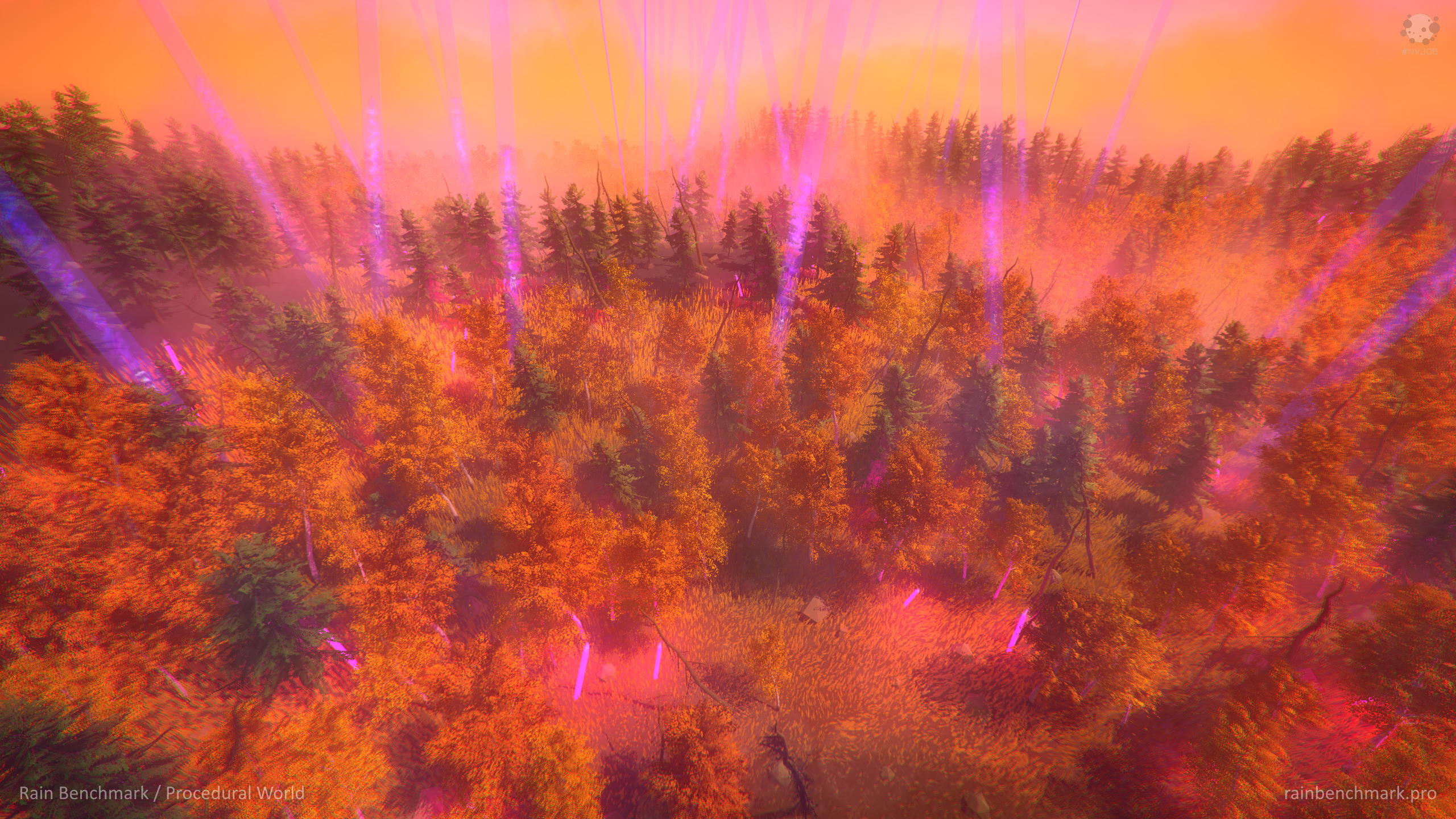 Rain Benchmark 18.jpg