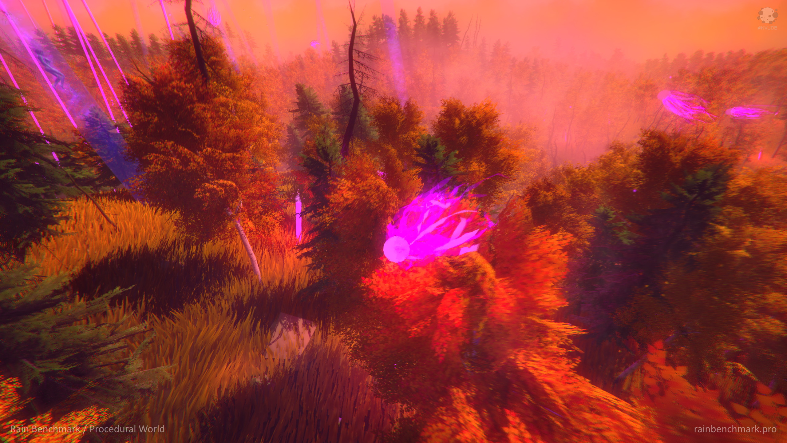 Rain Benchmark 5.jpg