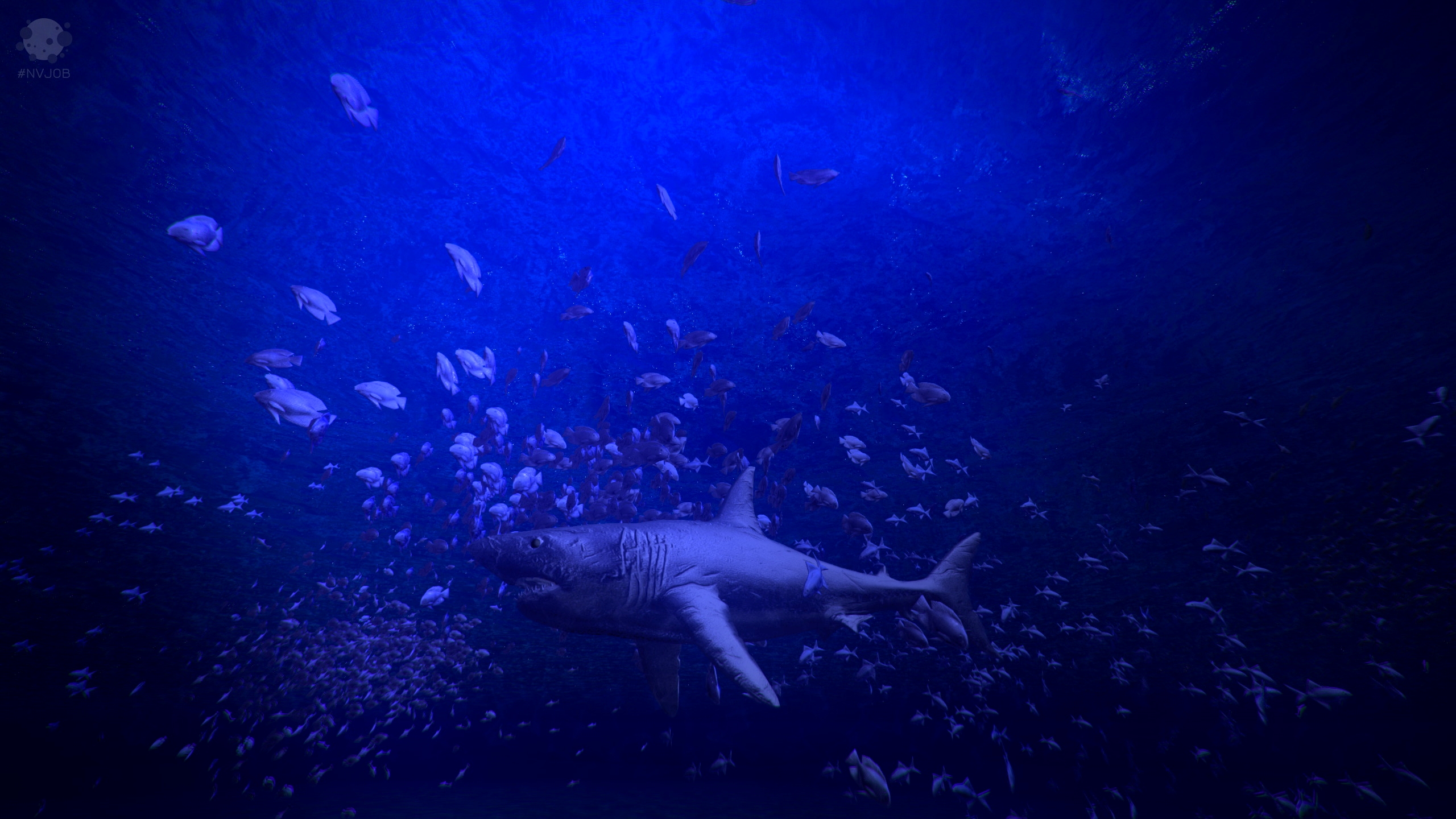 NVJOB Simple Boids 11.jpg