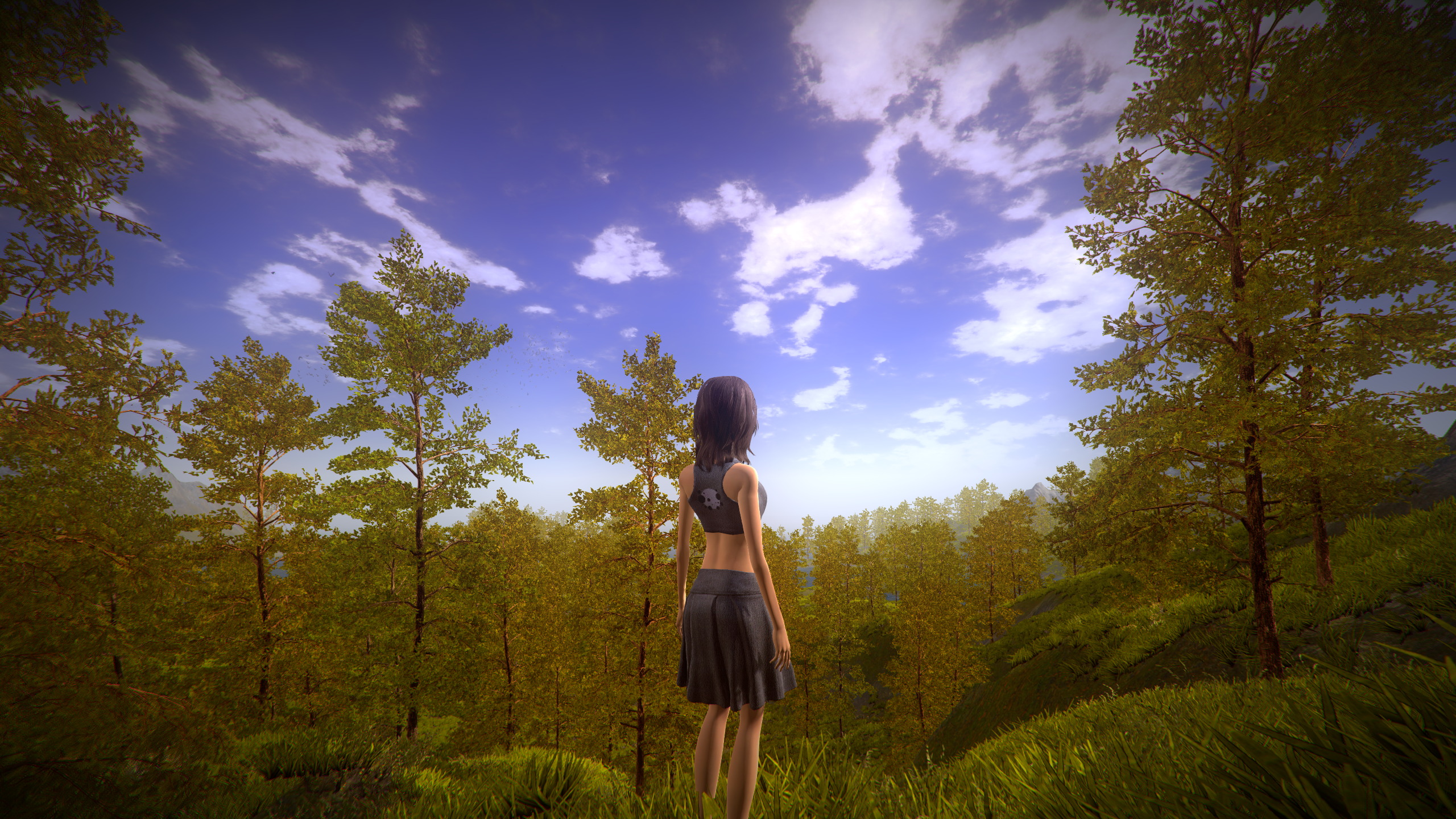 NVJOB Dynamic Sky 9.jpg