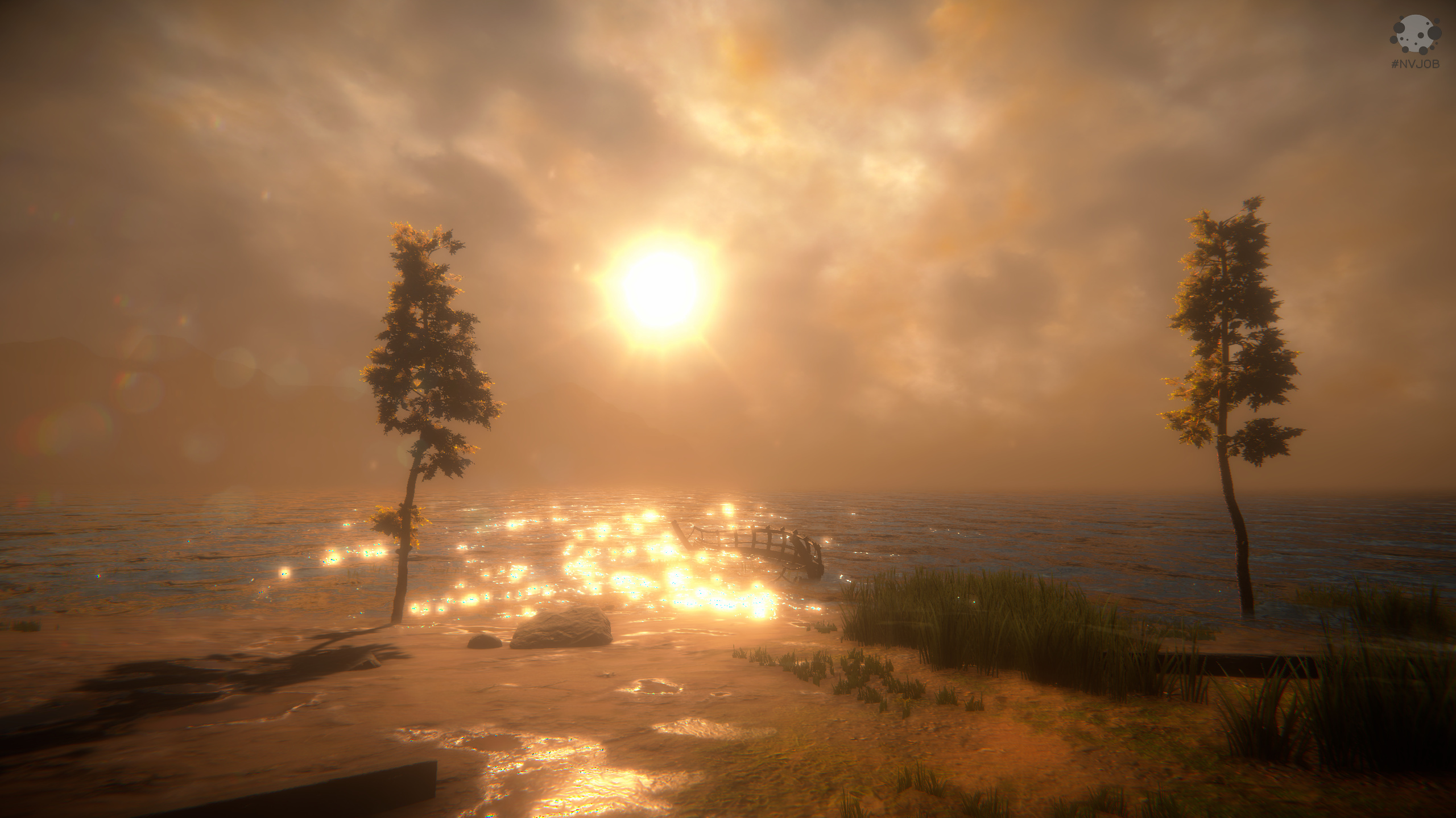 NVJOB Dynamic Sky 3.jpg