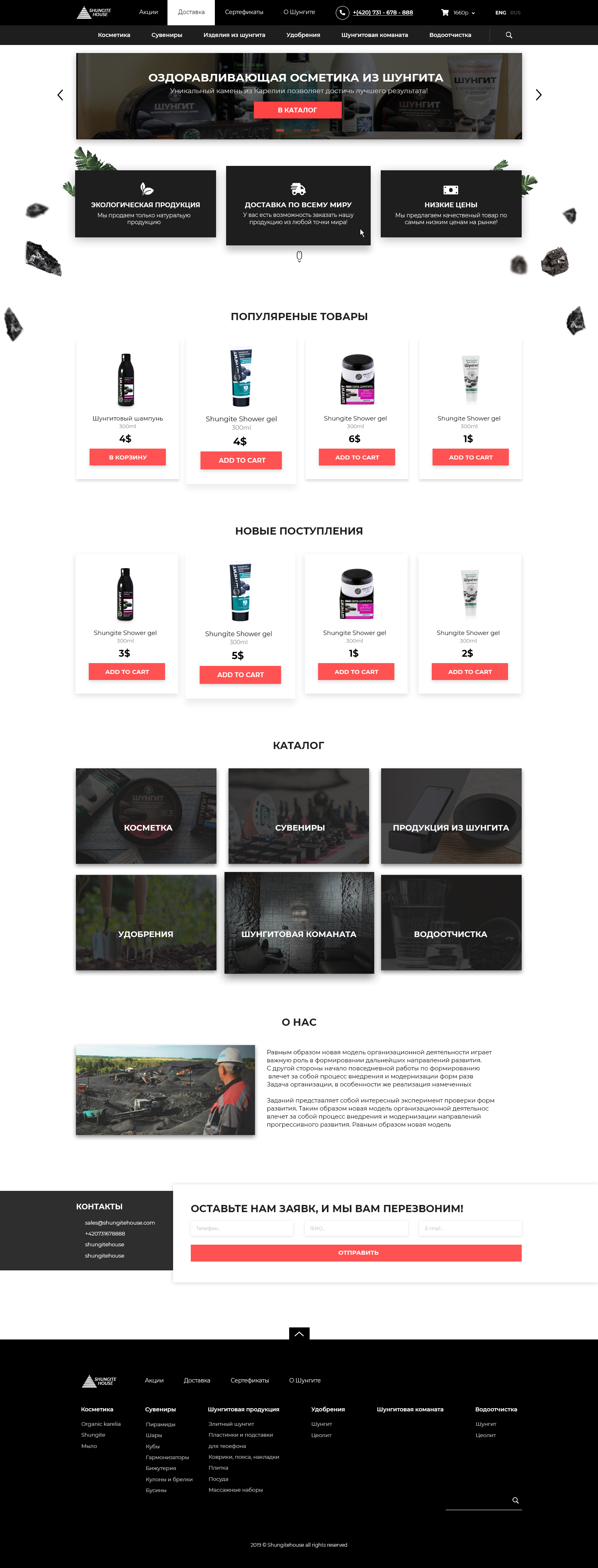 Shungitehouse maket.png