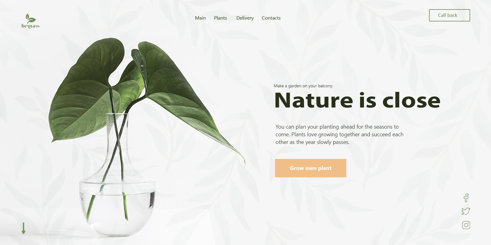 1 екран расстения.jpg