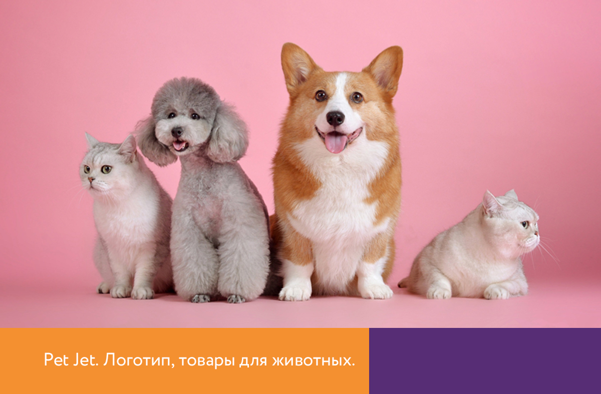 pet1.jpg