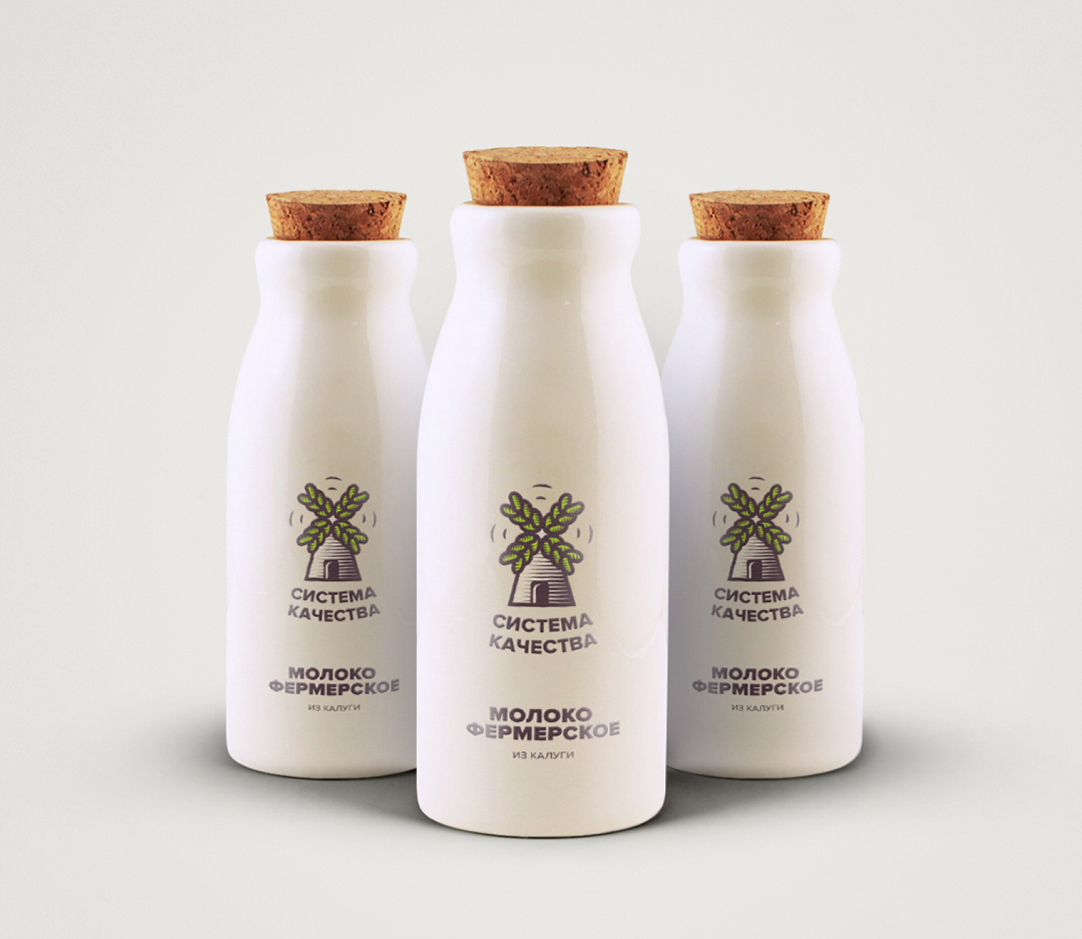 система качества03.png