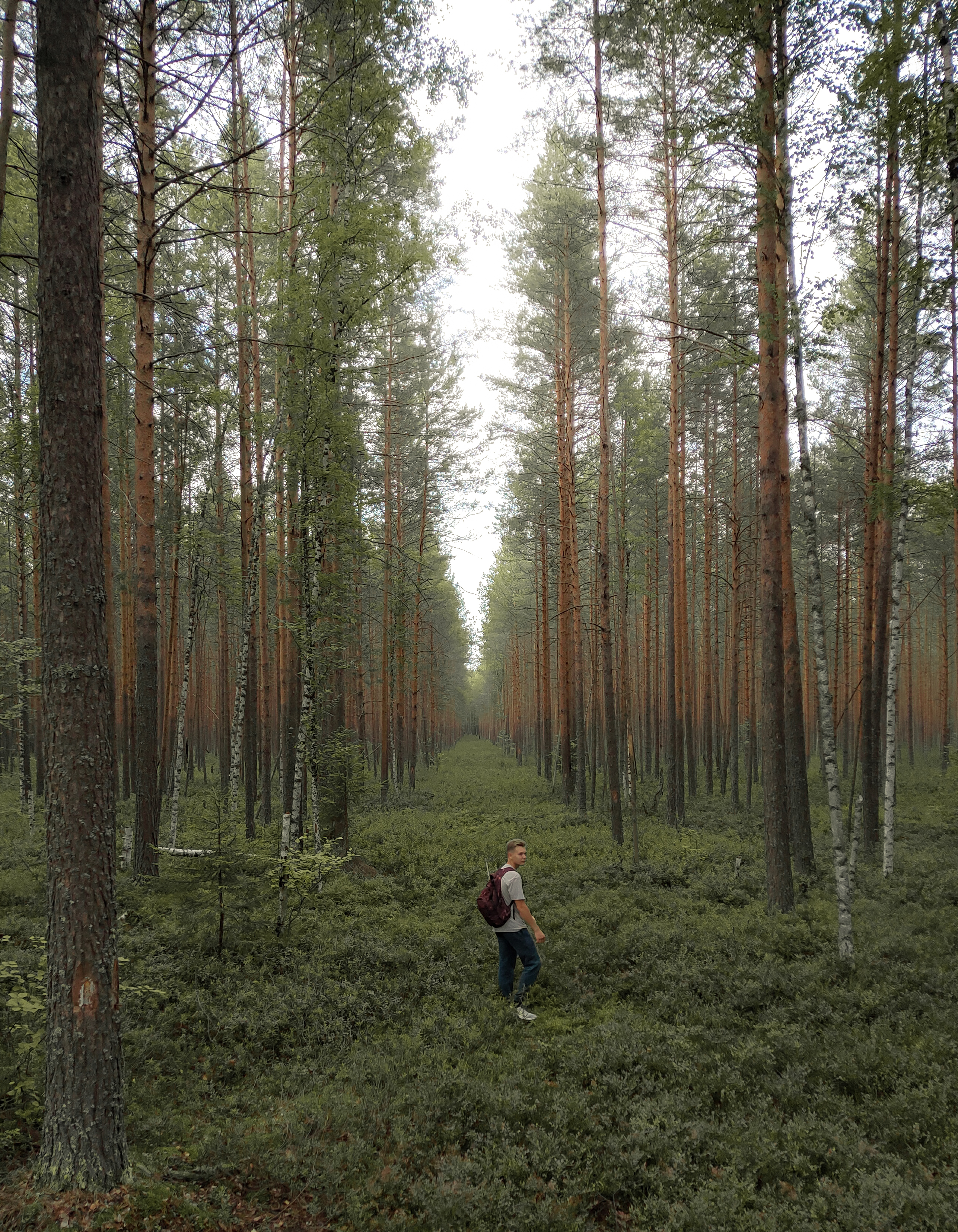 P00719-174317-2.jpg