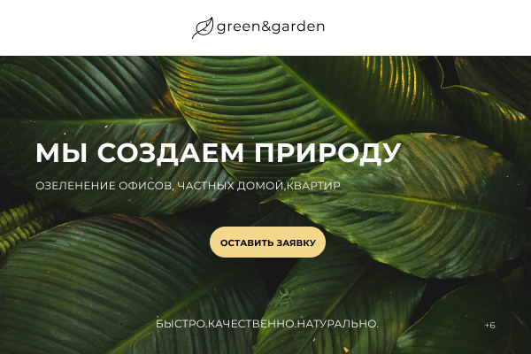 баннер.png