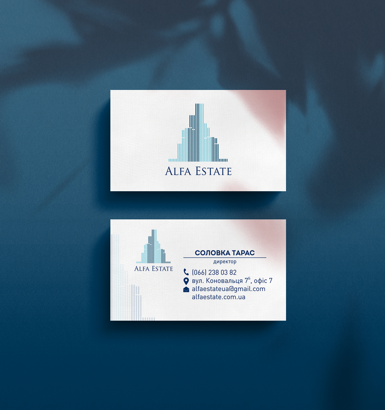 PsFiles Business Card Mockups 4.jpg