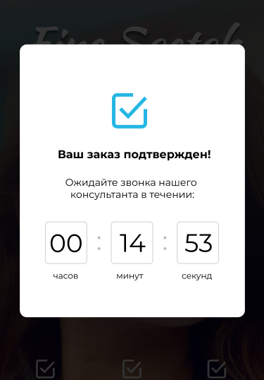 Подтверждающее окно (1).png