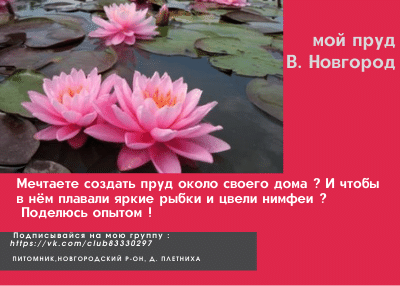 vNCb9eA6o1VlNqMhnmmgUA-0001-11036746070.png