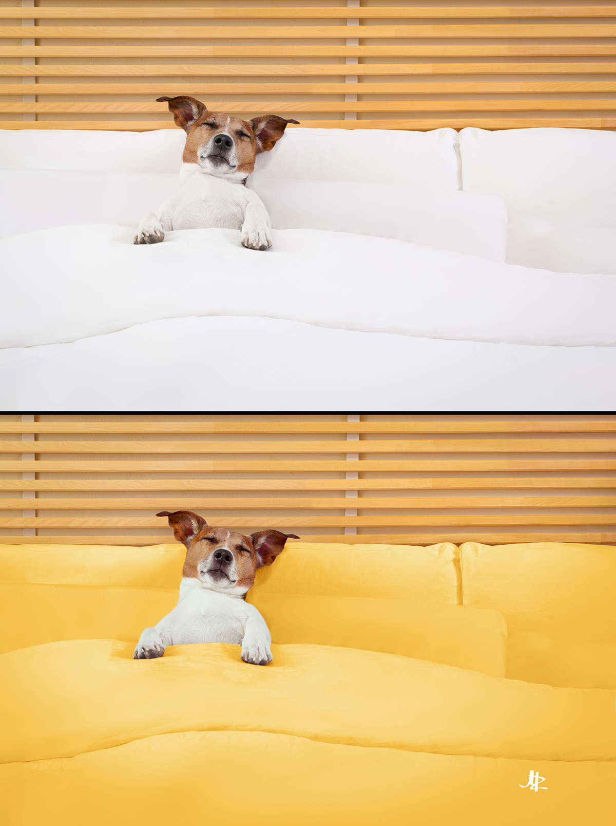 Замена цвета для ИМ.jpg