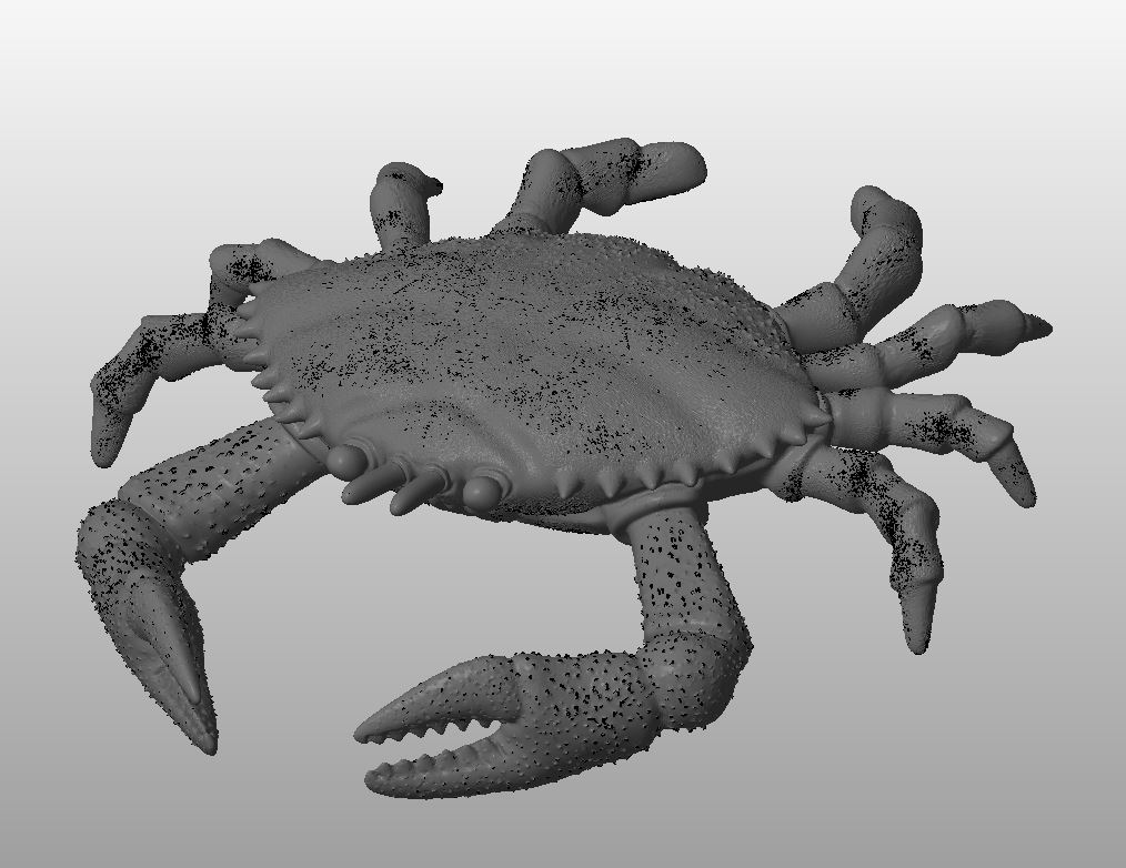 Краб готовый.JPG