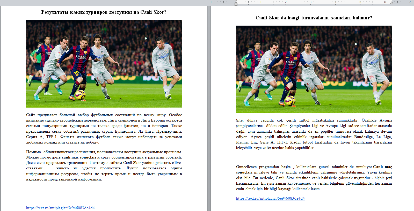 futbol portfolio.PNG 2.png