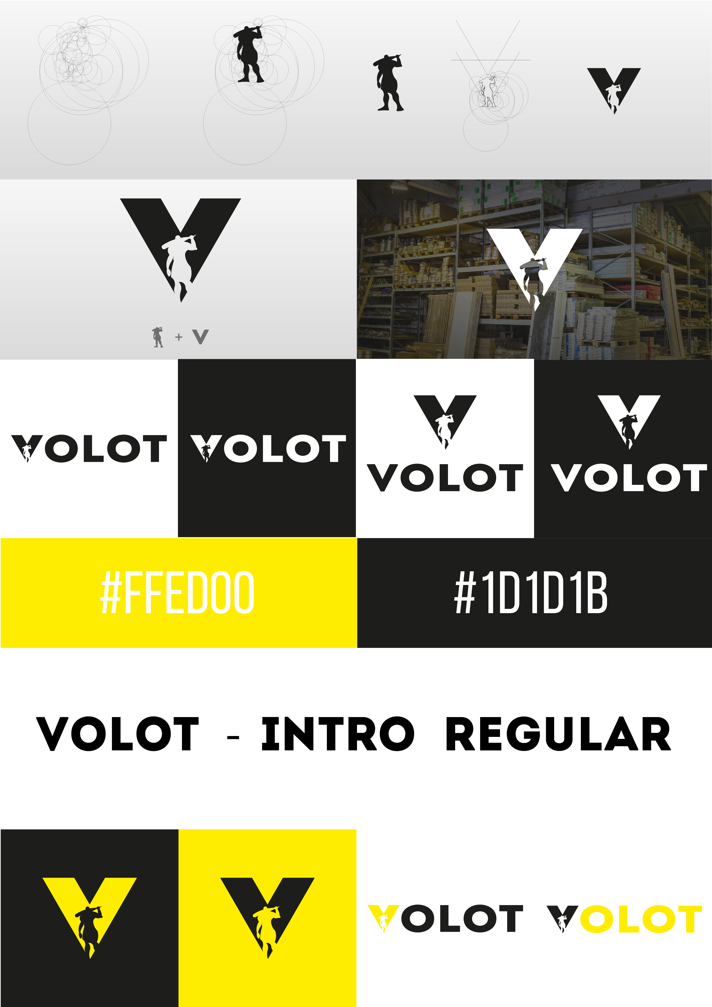 Визуал лого  VOLOT_Монтажная область 1 копия 2.jpg