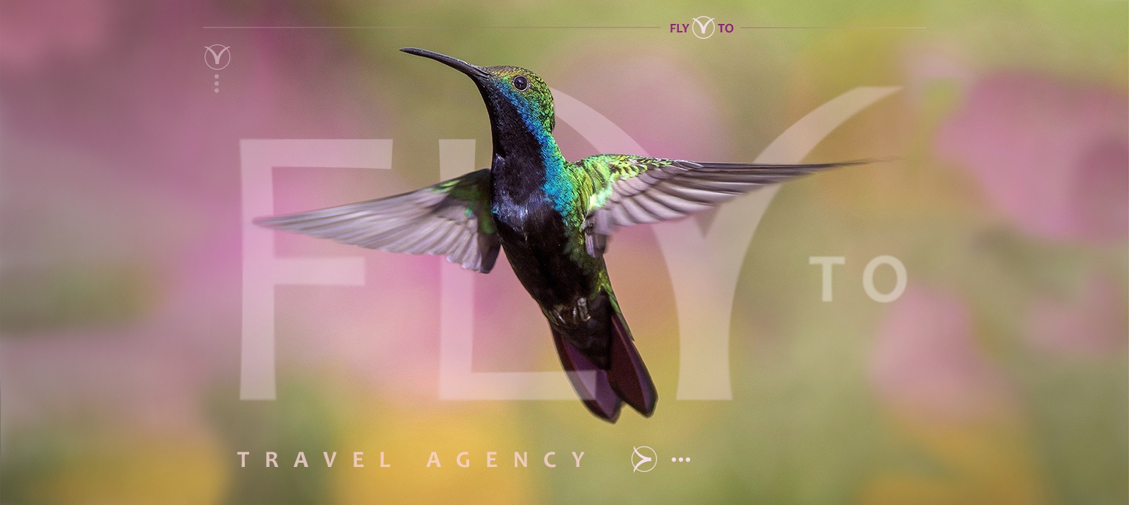 fly to site home cut.jpg