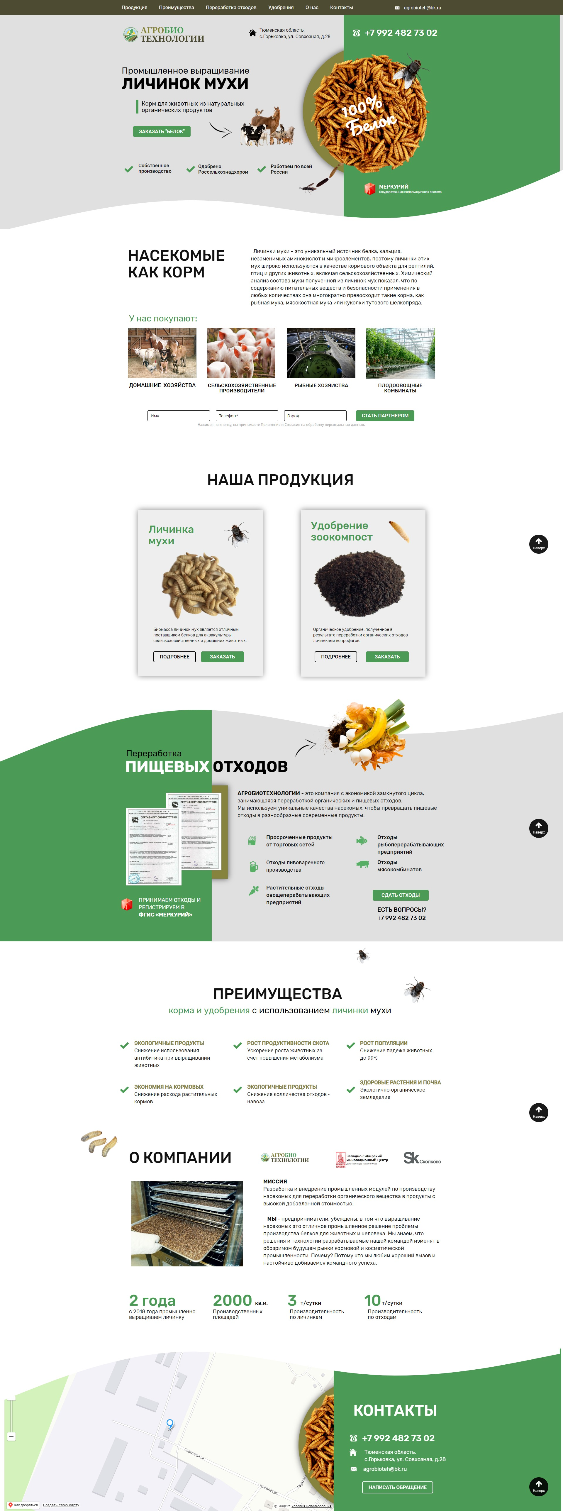 Личиники мухи.png