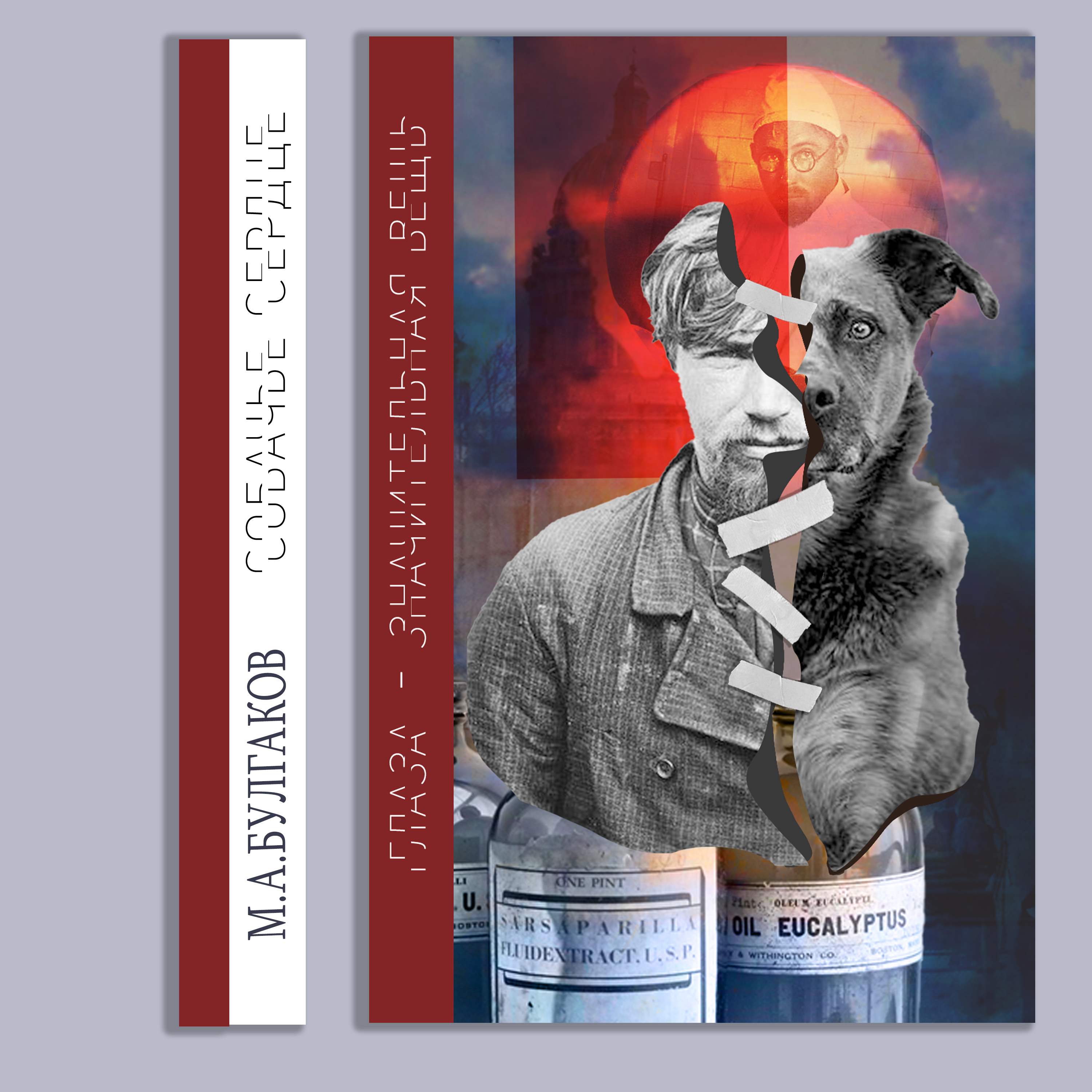 Обложка булгаков.jpg