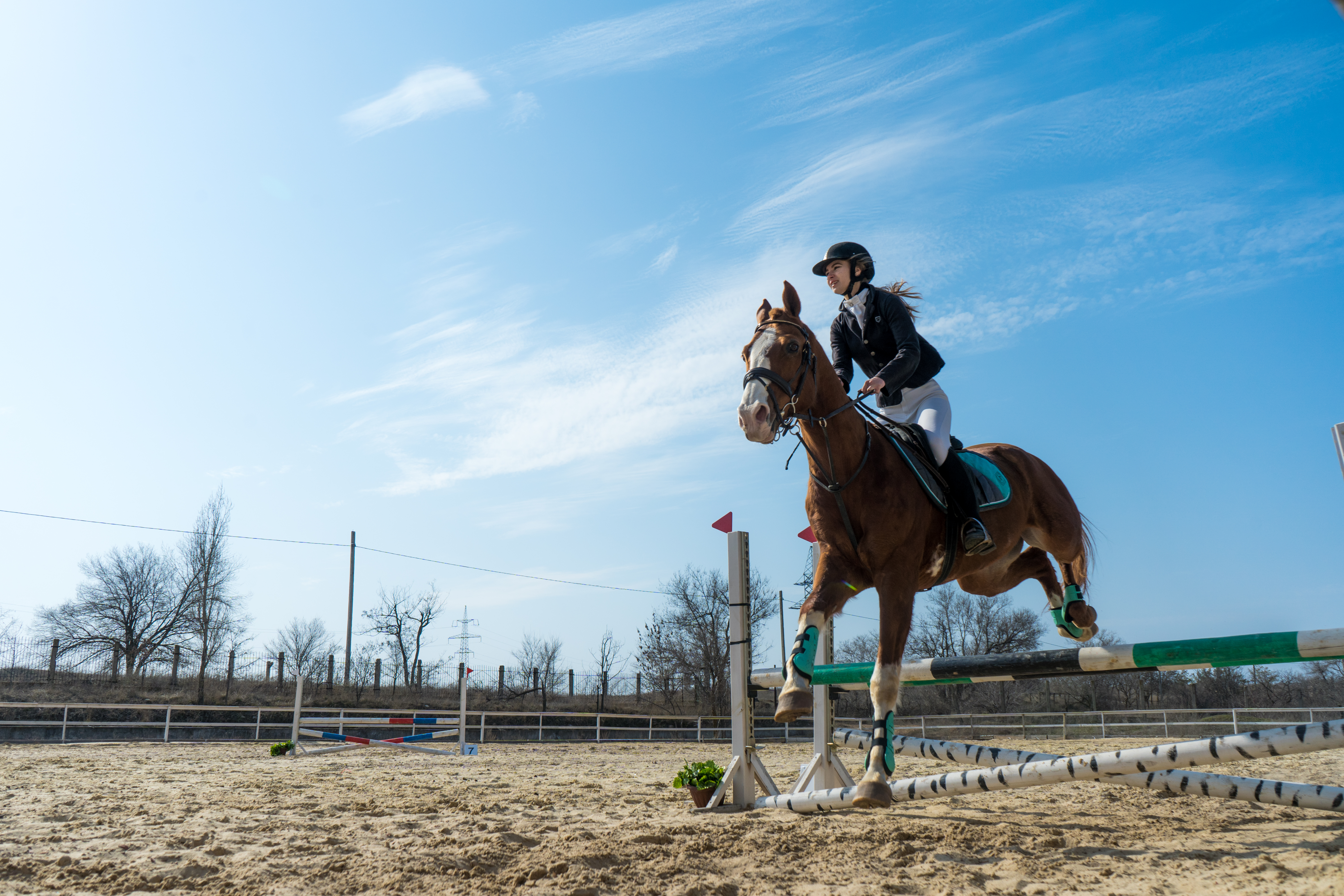 DSC00330.jpg