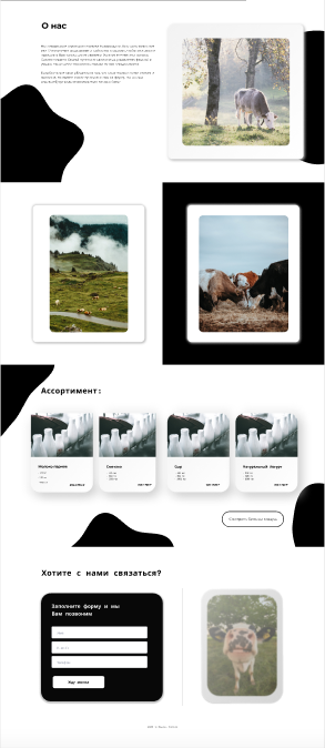 Снимок экрана 2021-02-02 в 09.50.38.png