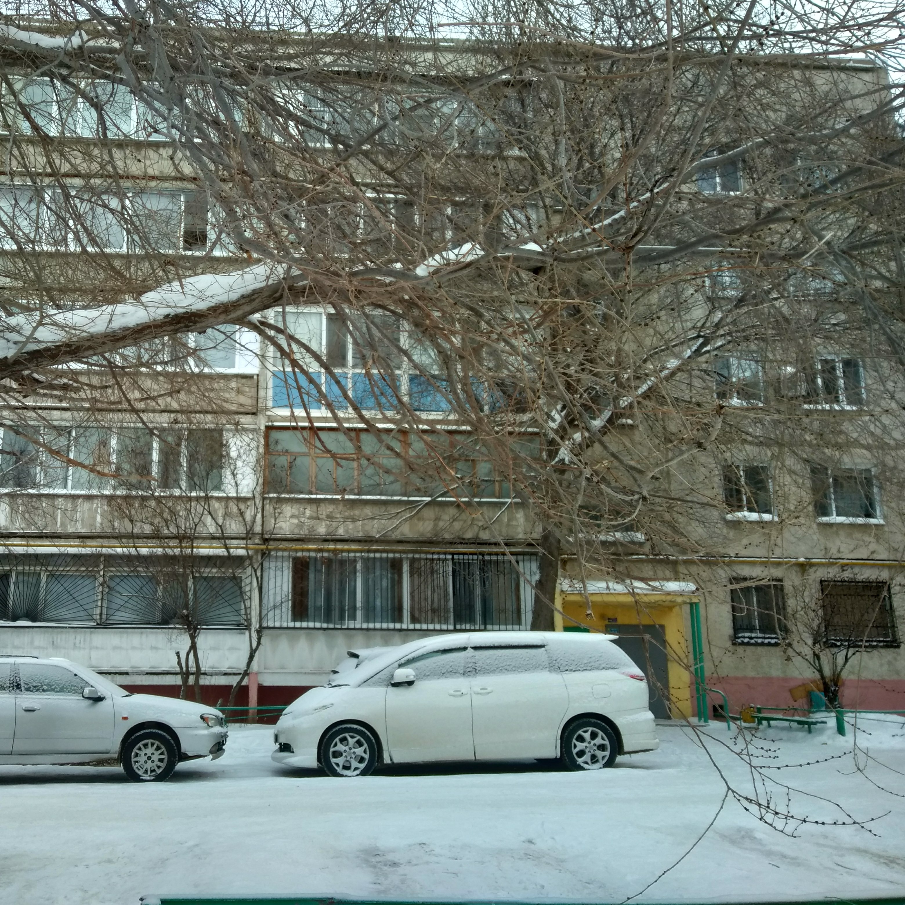 P10124-155322.jpg