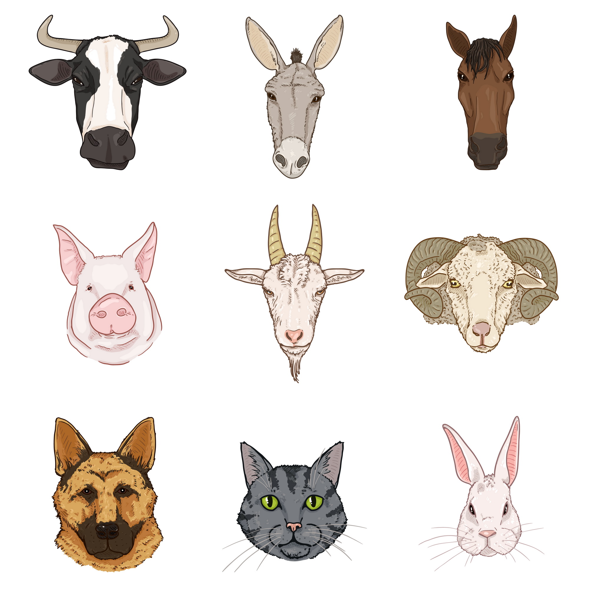 Farm Animals head set front cartoon.jpg