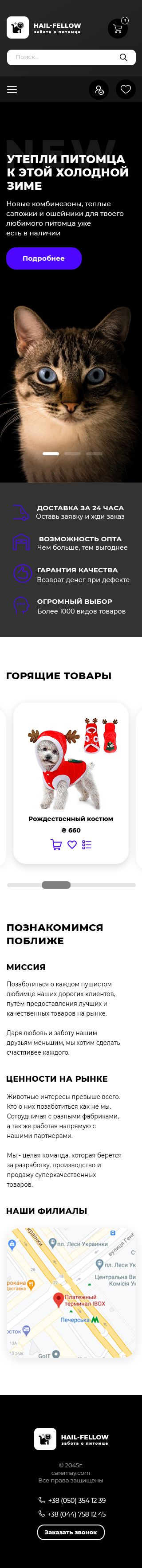 кот телефон.jpg