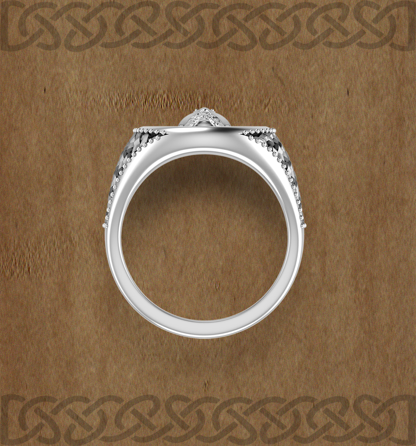 Ring_Knight_2.png