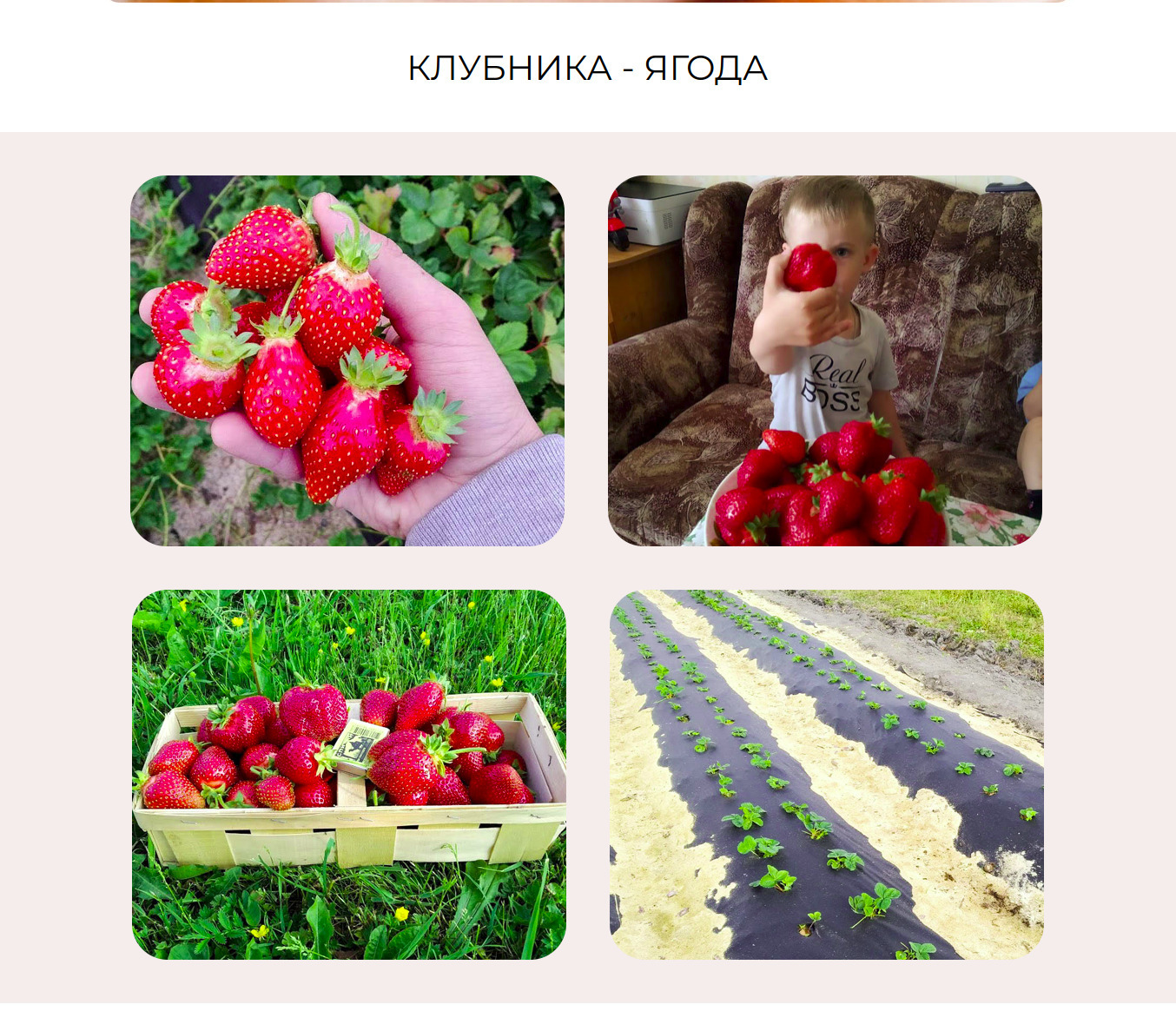 Screenshot_2020-02-09 Ягоды в деревне.jpg