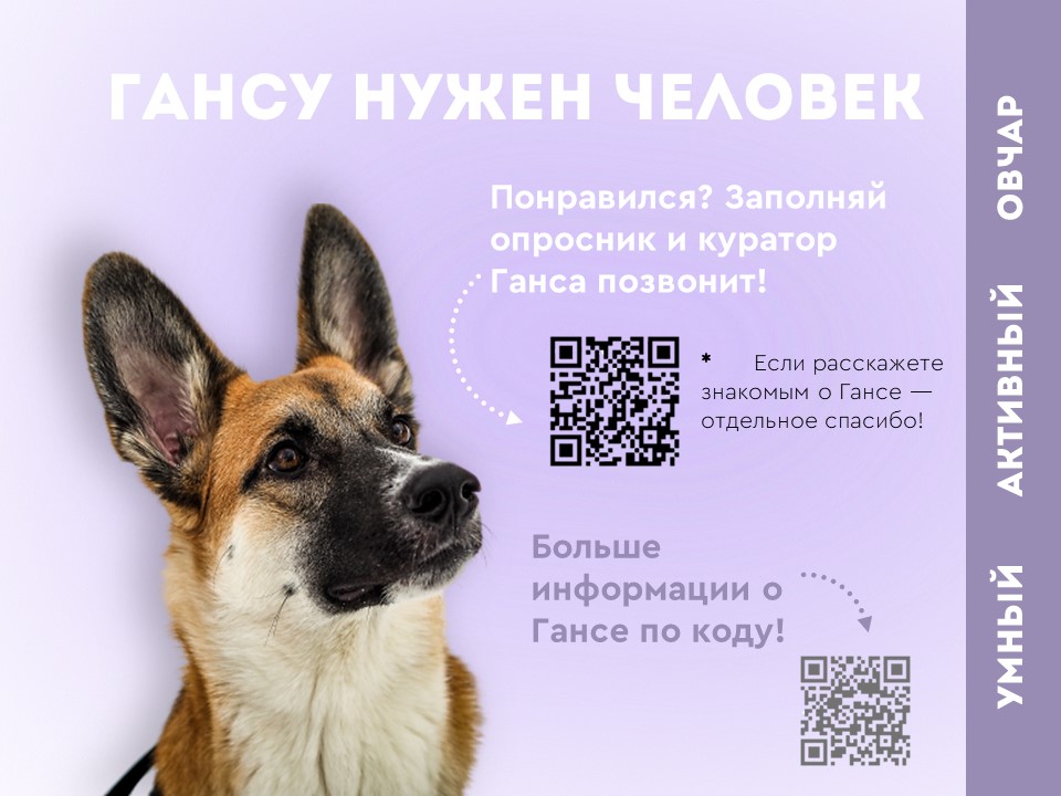 Слайд1.JPG
