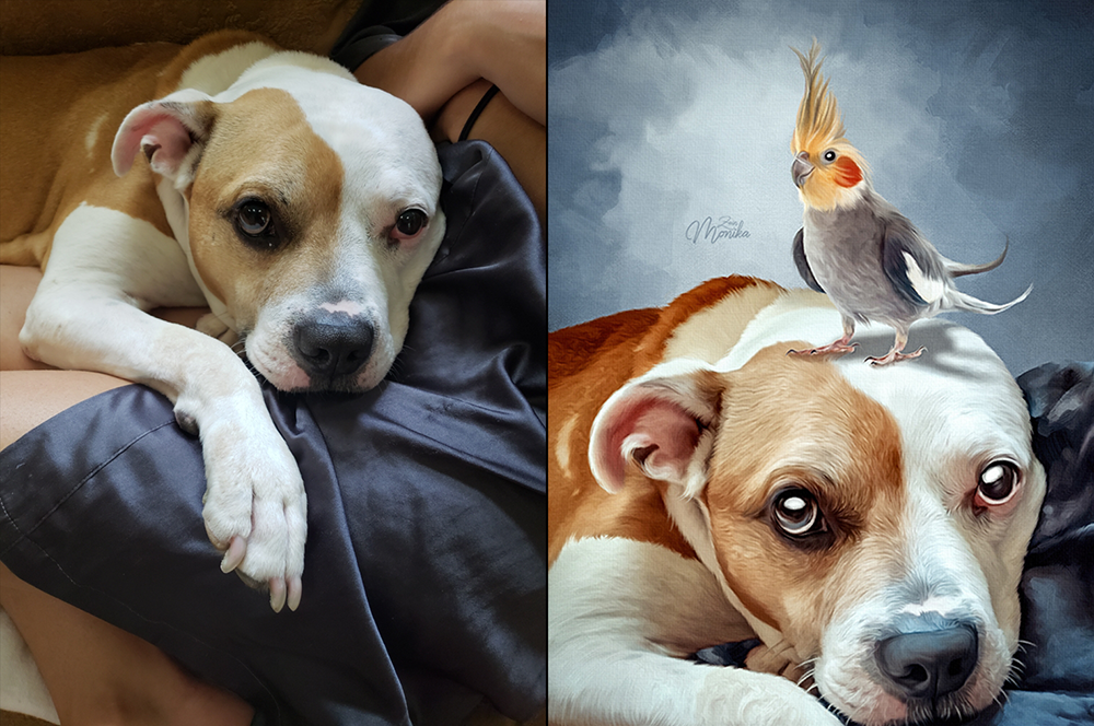 Buddy (Digital Dog) до и после.png