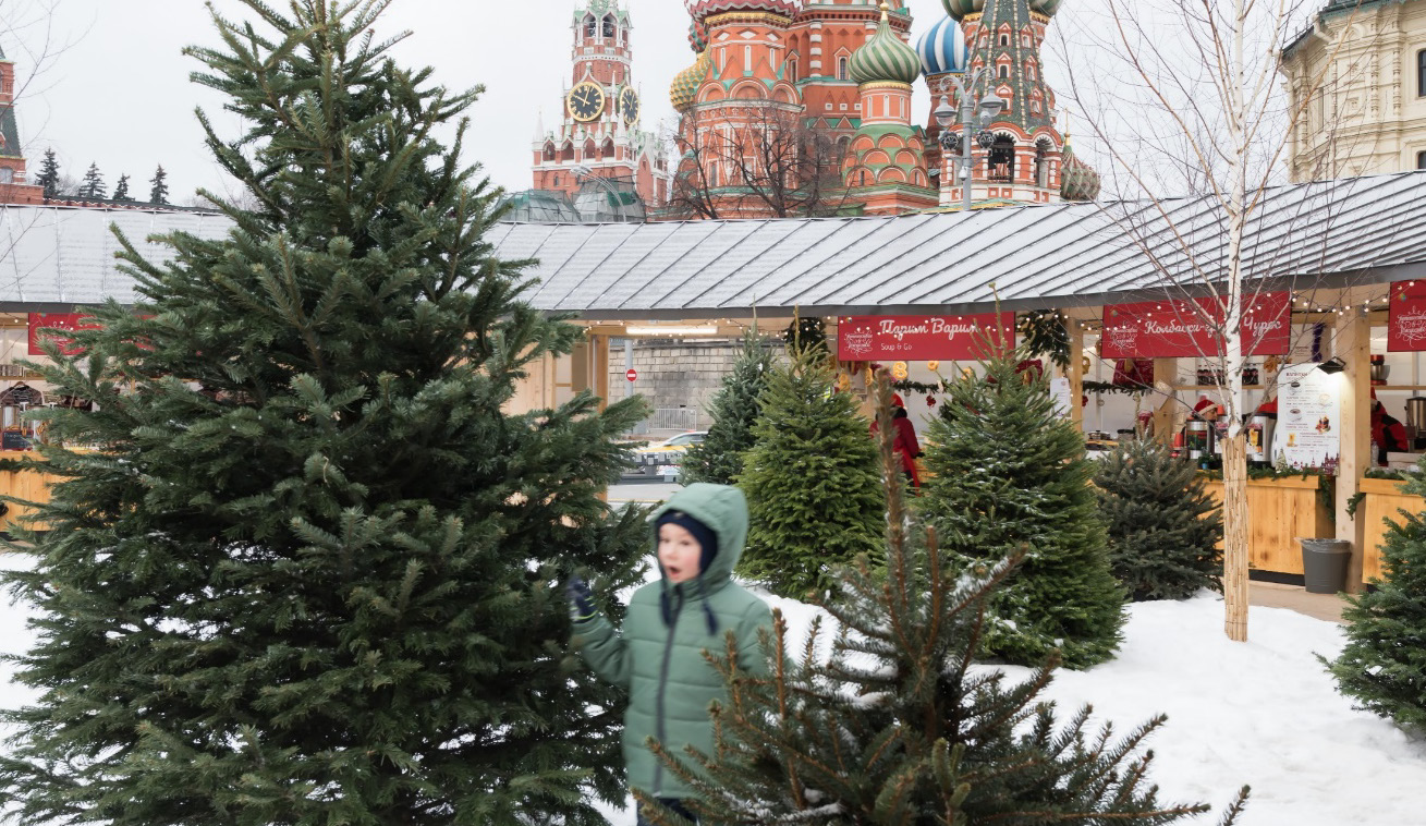 Снегосад 2.jpg