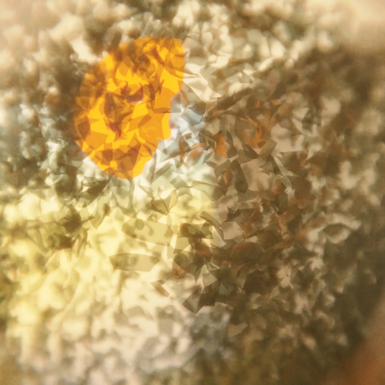 final video cloth rough sound.00_00_14_09.Still001.jpg