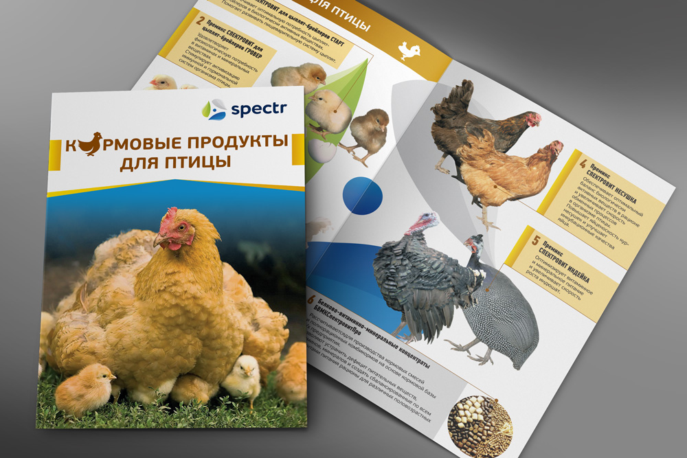 Спектр-куры.jpg