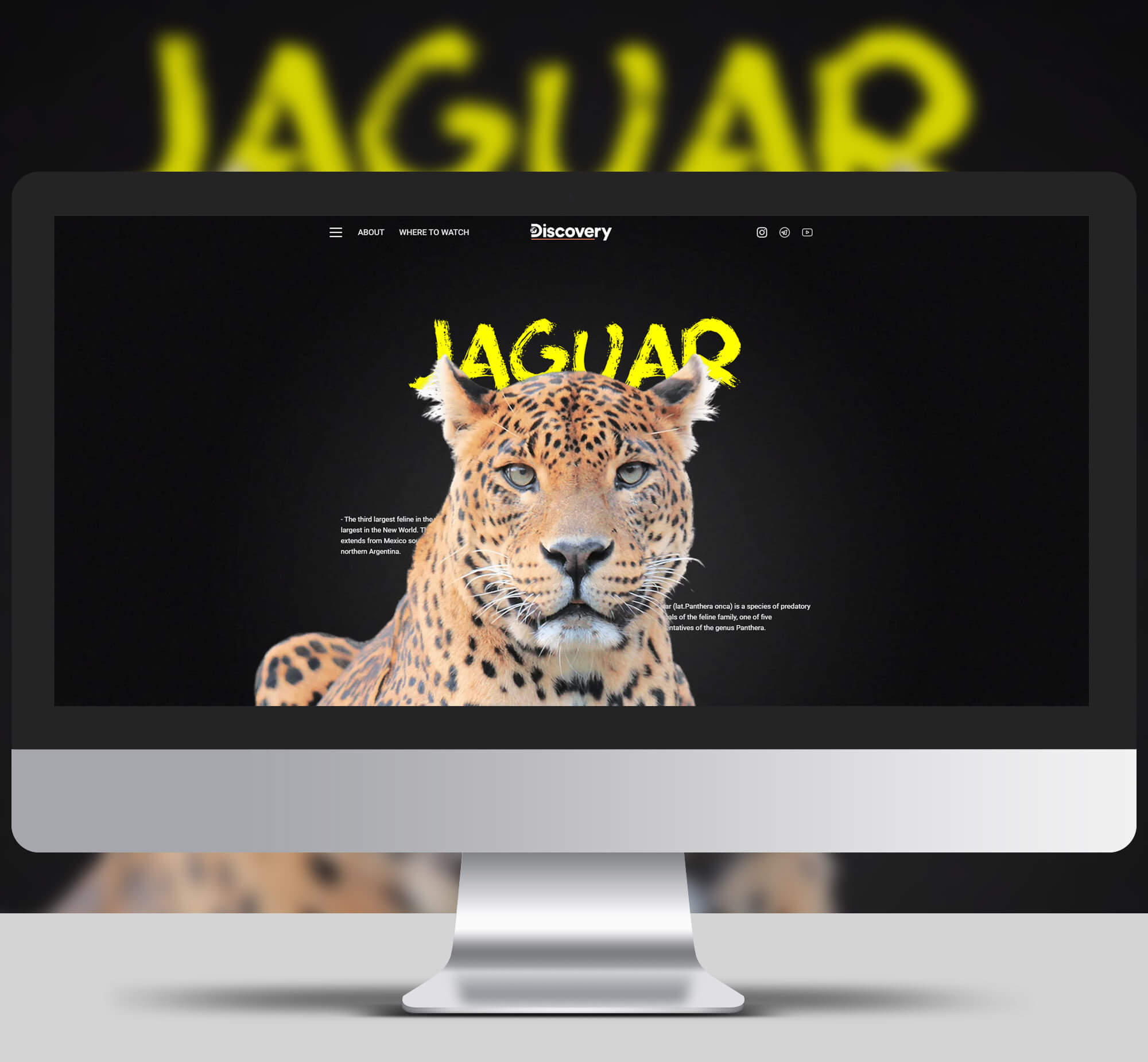 Jaguar.jpg