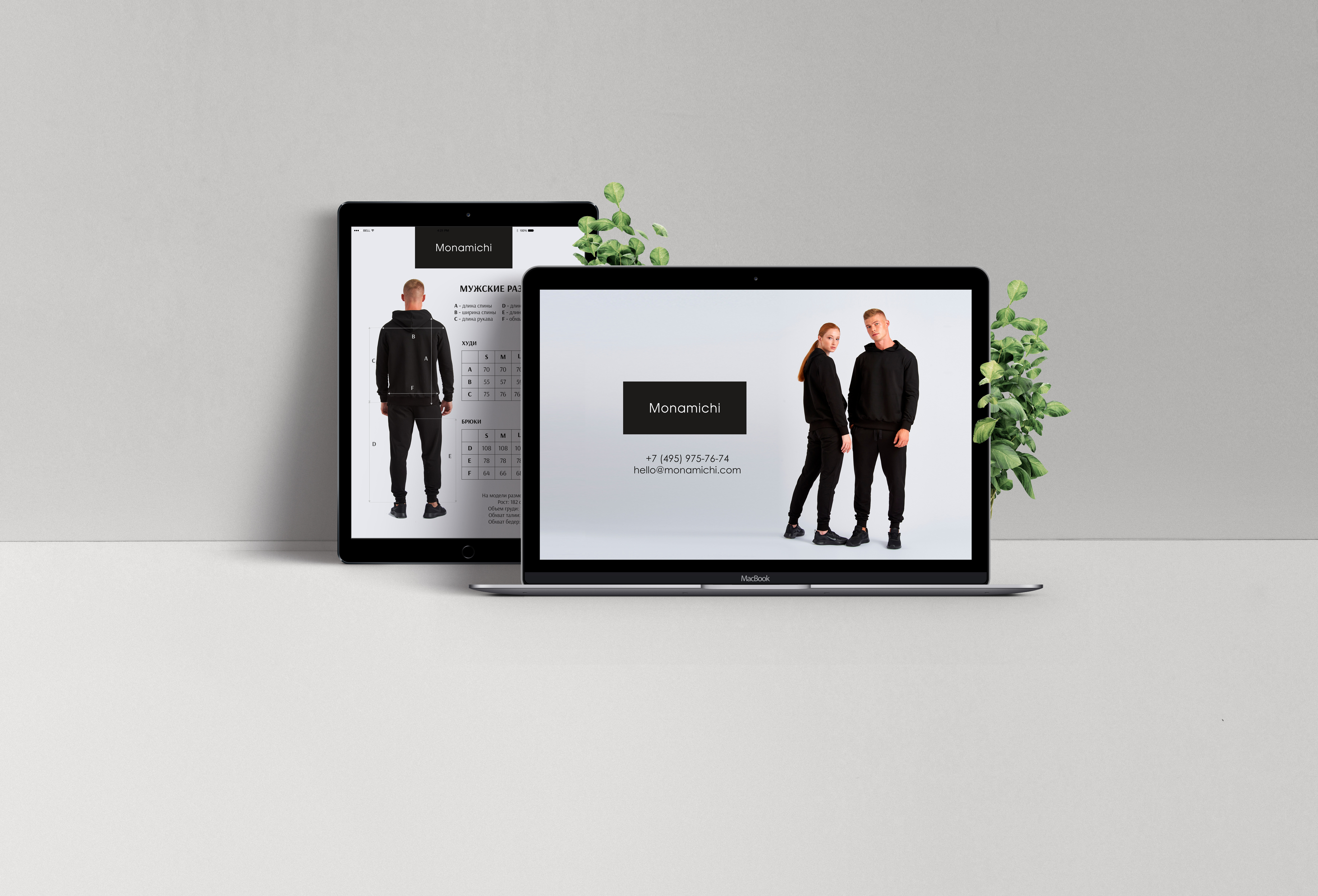 Web-Showcase-Project-Presentation.jpg