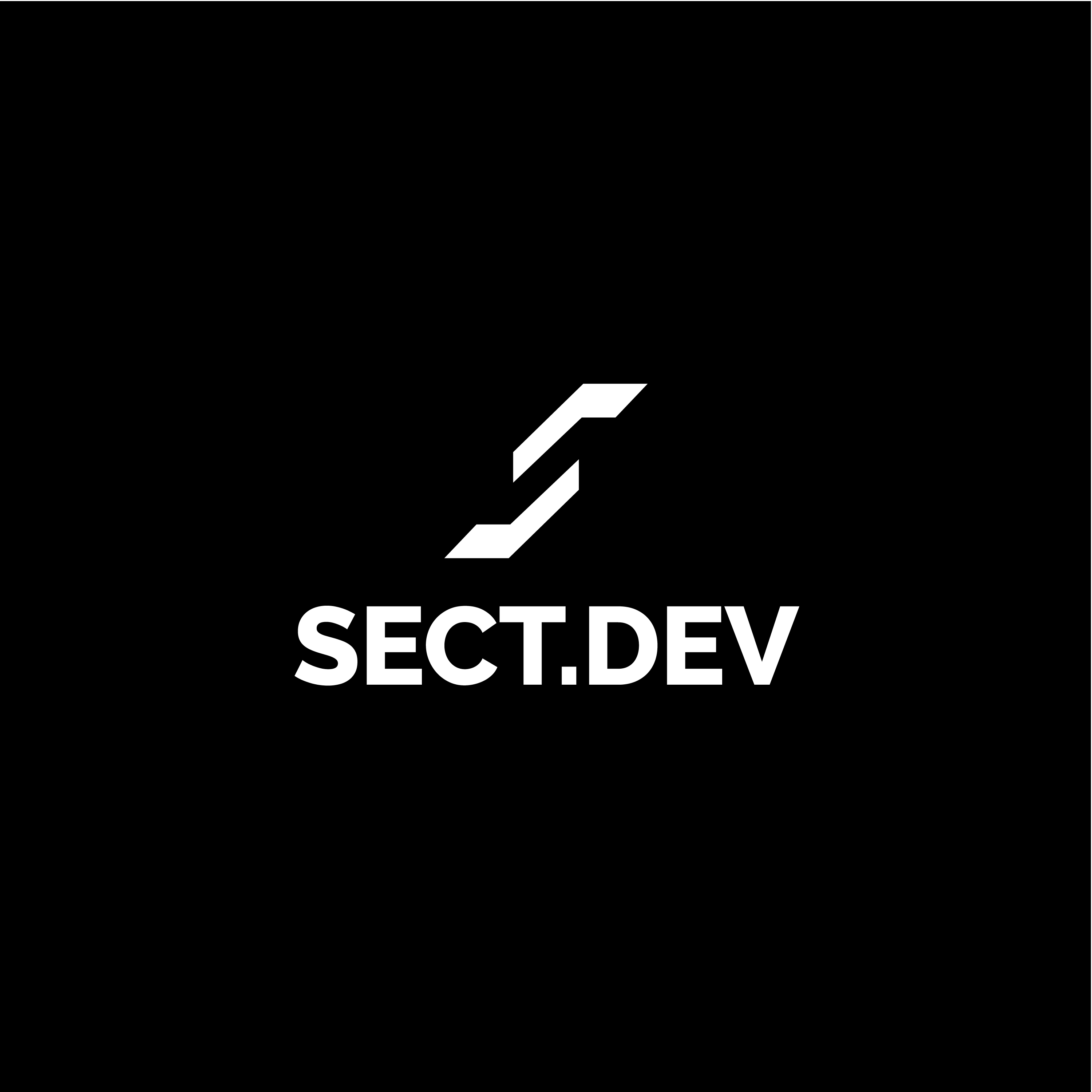 SECTМонтажная область 1 копия.png