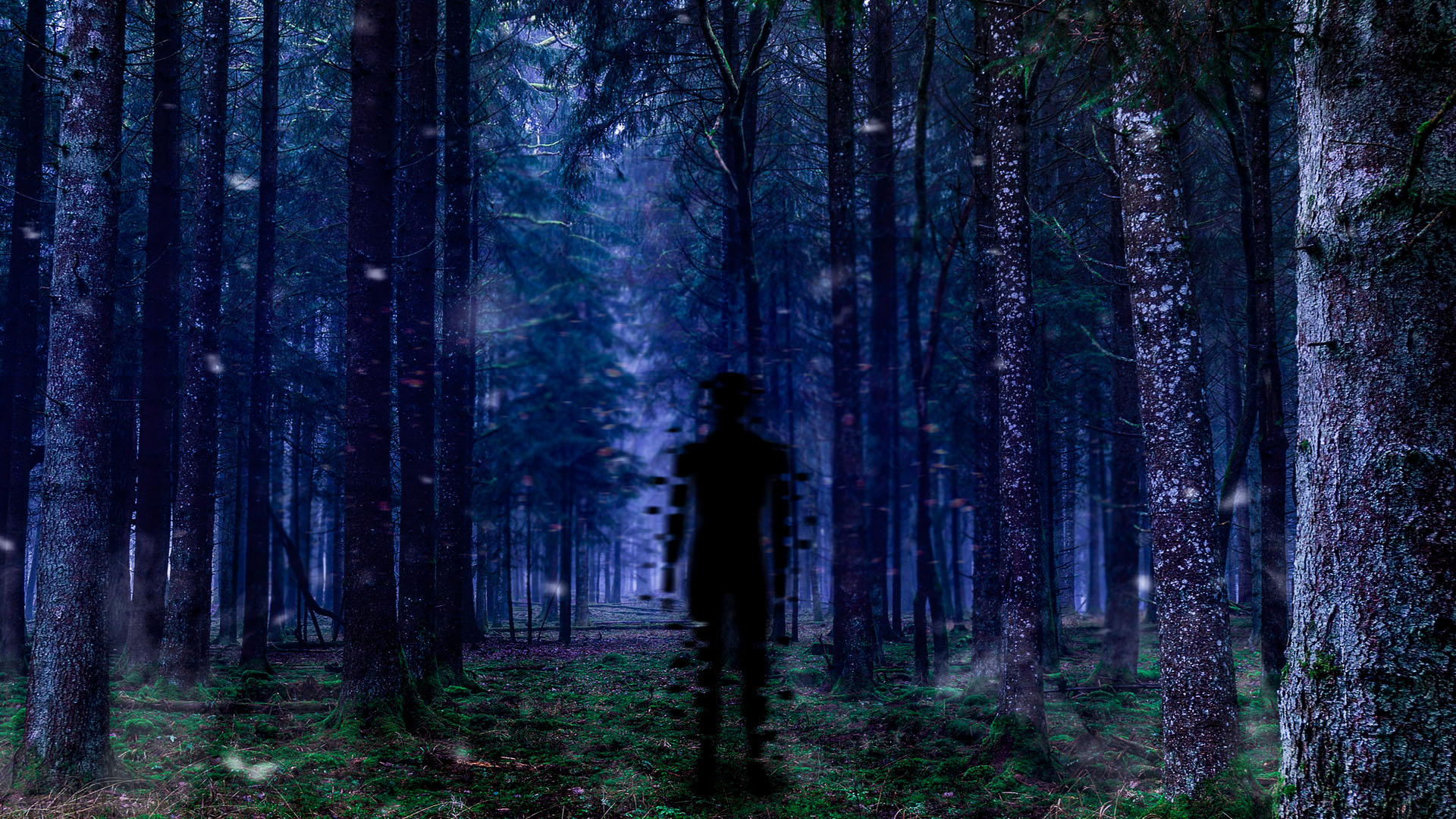 лес готово.jpg