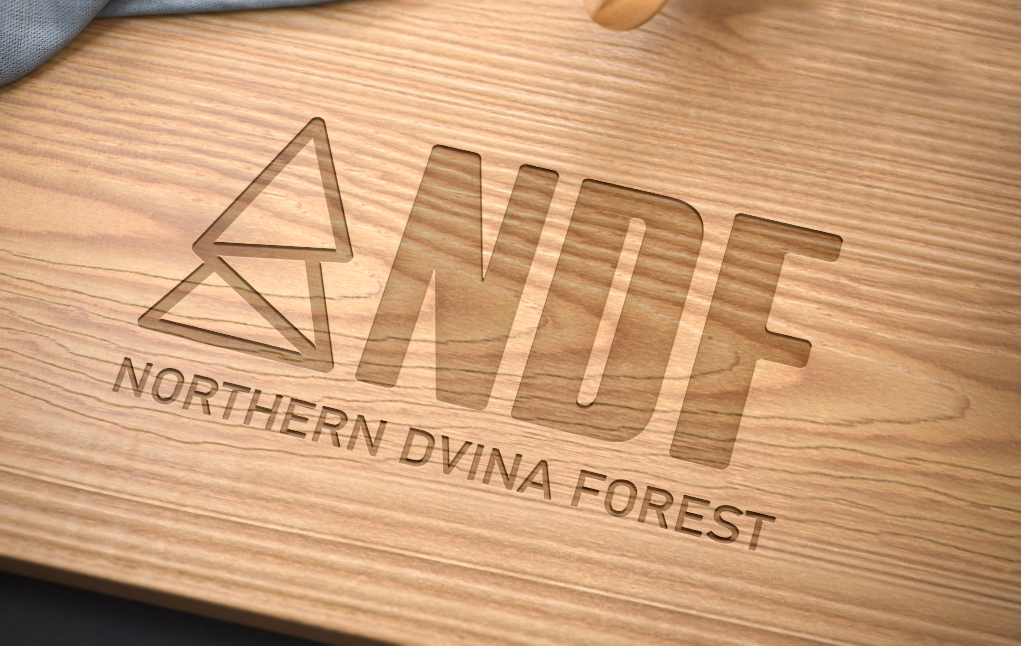NDF.jpg