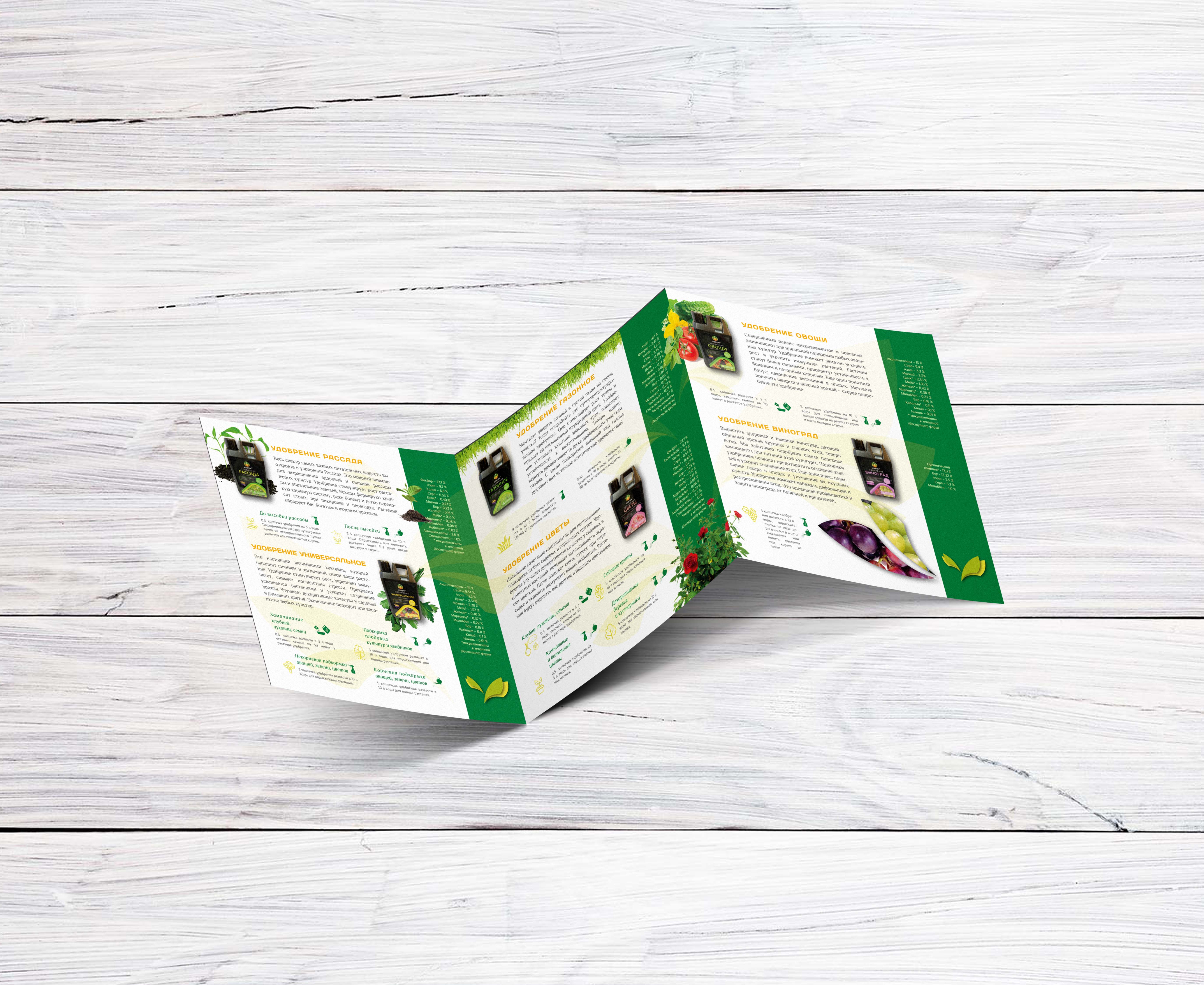 внутри грамошка.jpg